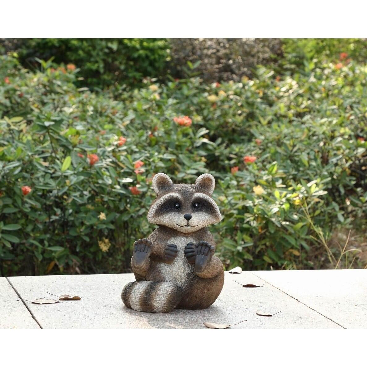 Raccoon Sitting