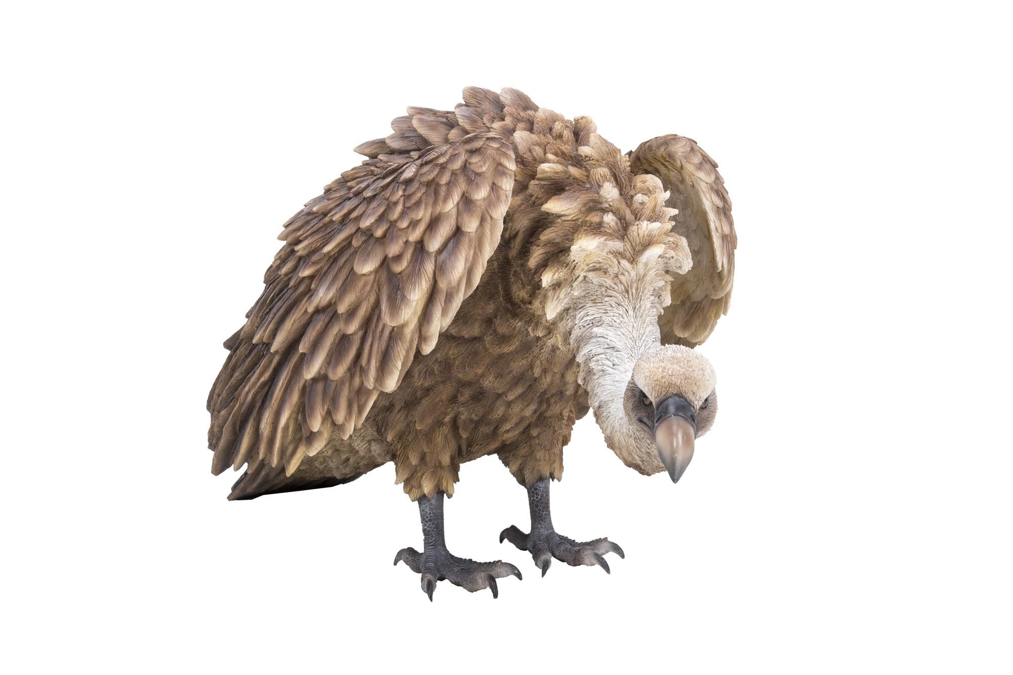 Realistic Brown and White Vulture Garden Statue