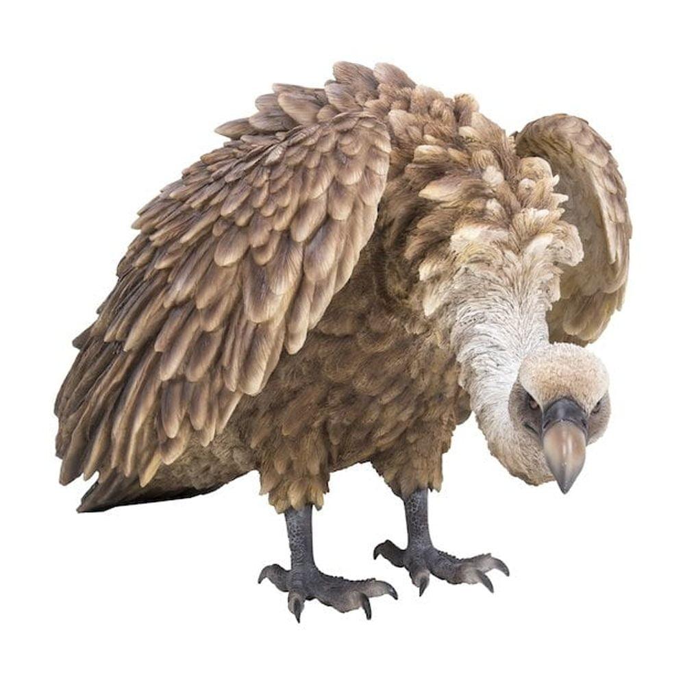 Hi-Line Gift Ltd. Medium Vulture