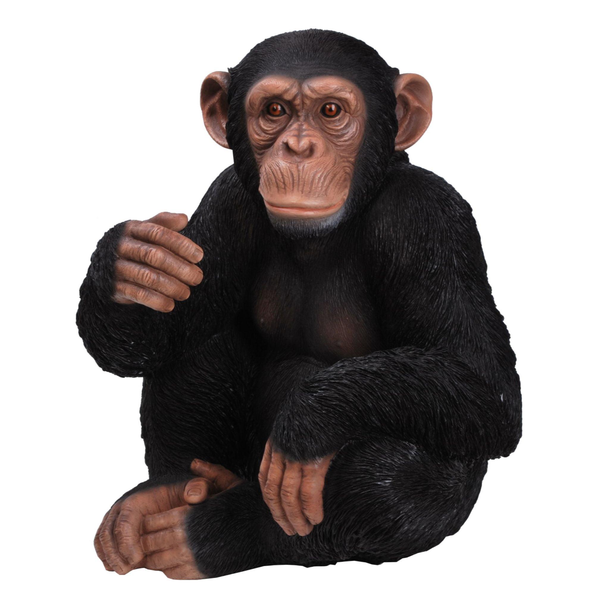 Hi-Line Gift Ltd. Monkey Sitting Statue