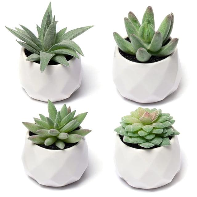 Holzlrgus Fake Succulent Plant Set - Artificial Succulent Plants for Desk Decor - Realistic Faux Succulents in Pots – Small Fake Plant for Shelf Decor – Modern Green Plant Decor for Bedroom Bathroom