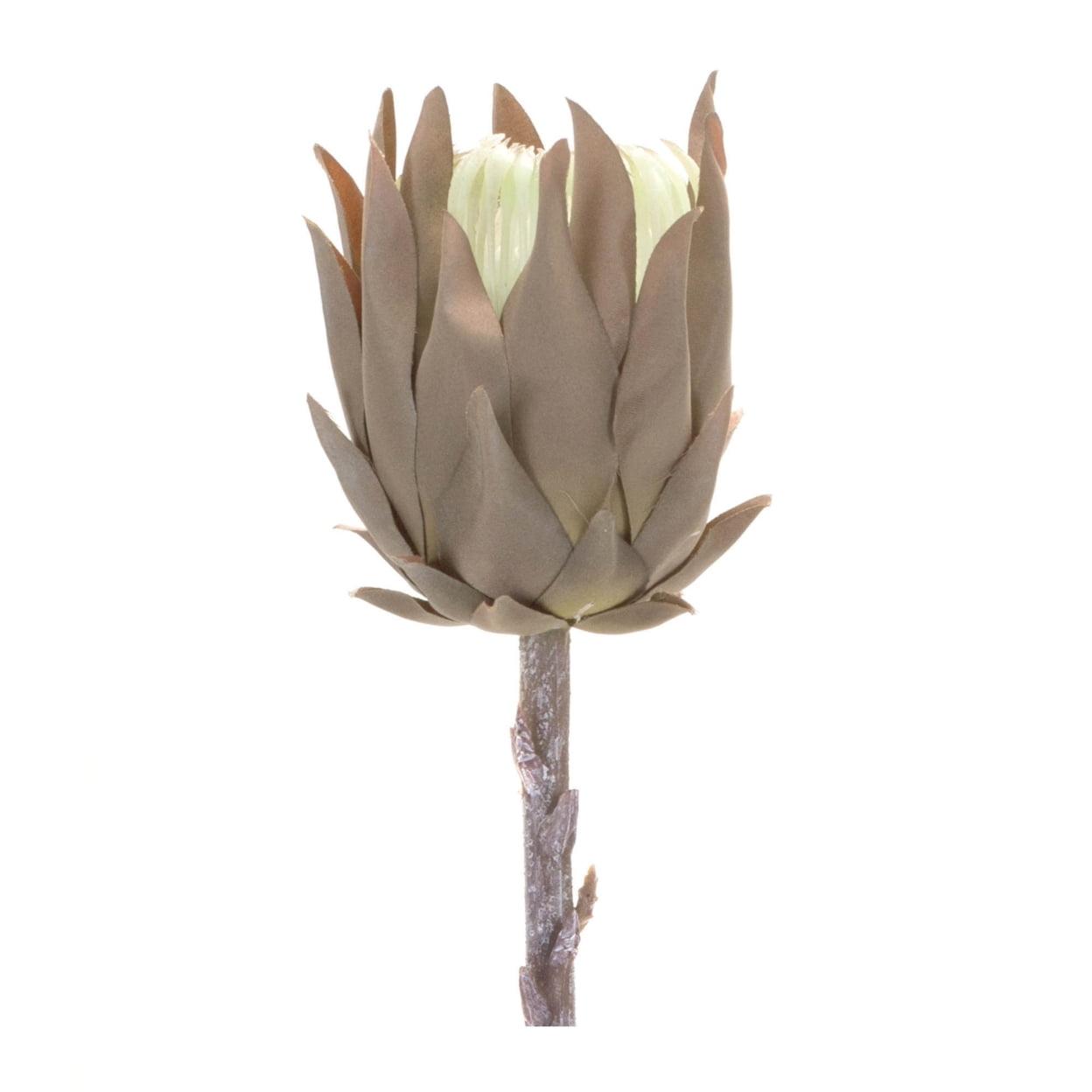 Melrose Protea Stem (Set of 6)