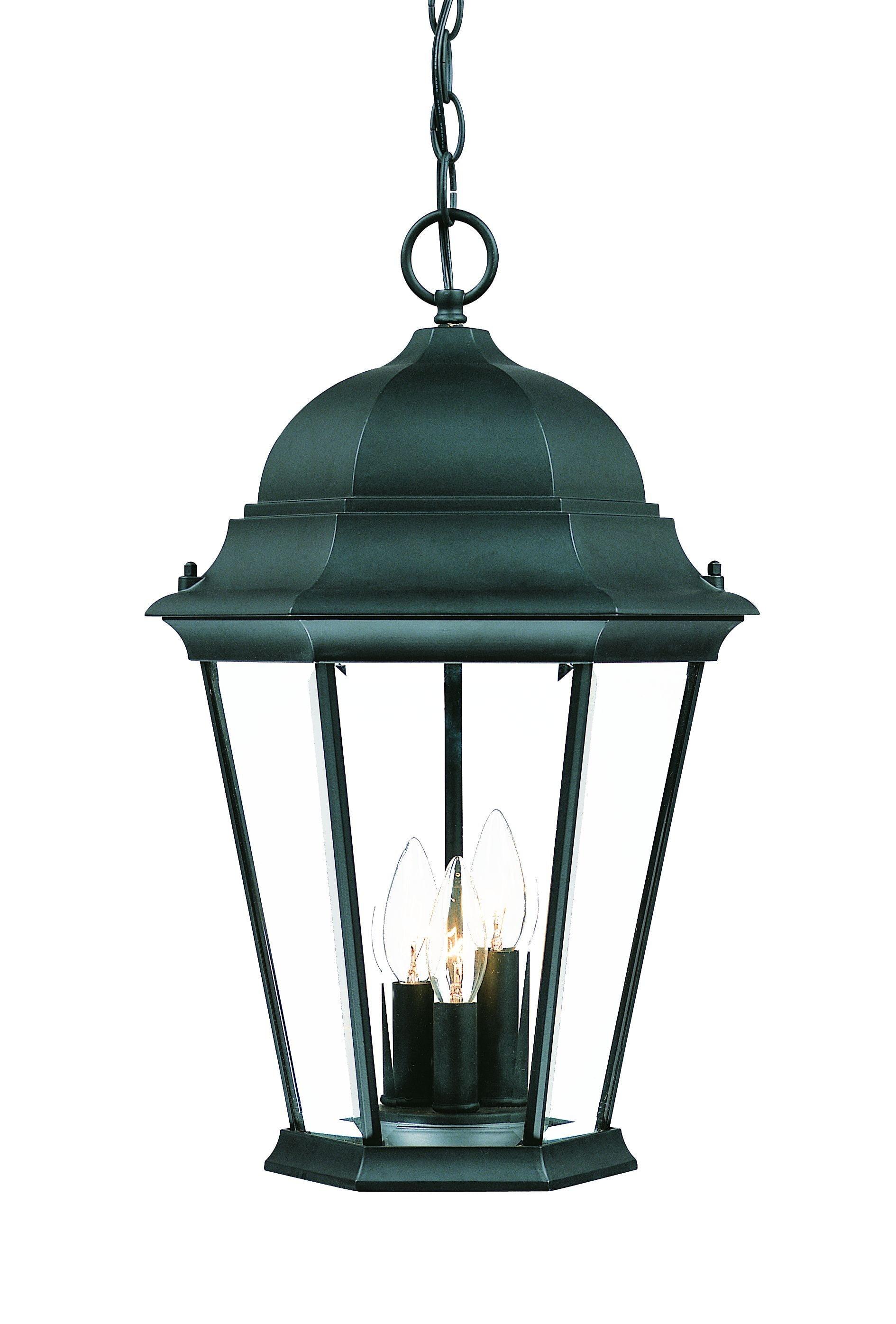 Matte Black Domed Glass Lantern Outdoor Light - 18.5"