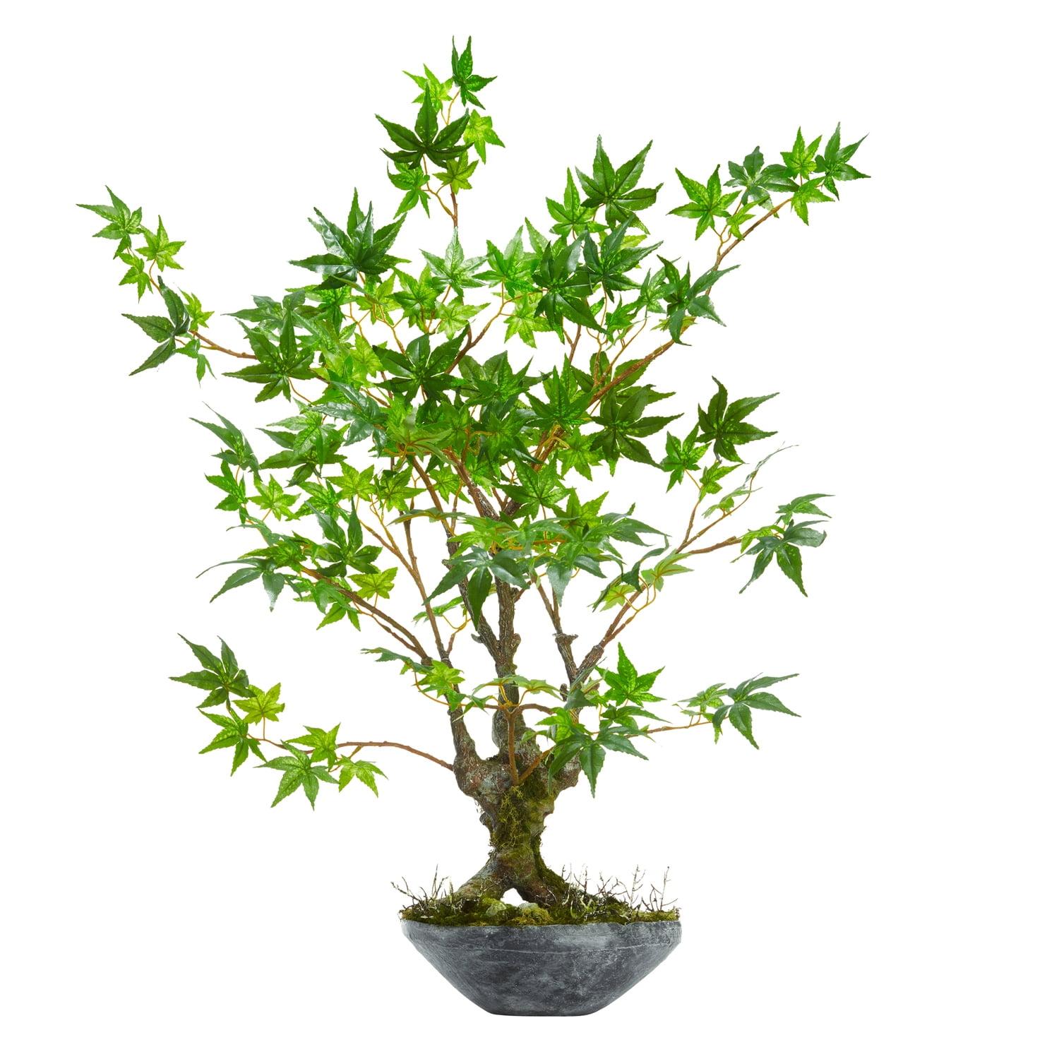 Silk Maple Bonsai 28" Potted Outdoor-Ready Artificial Tree