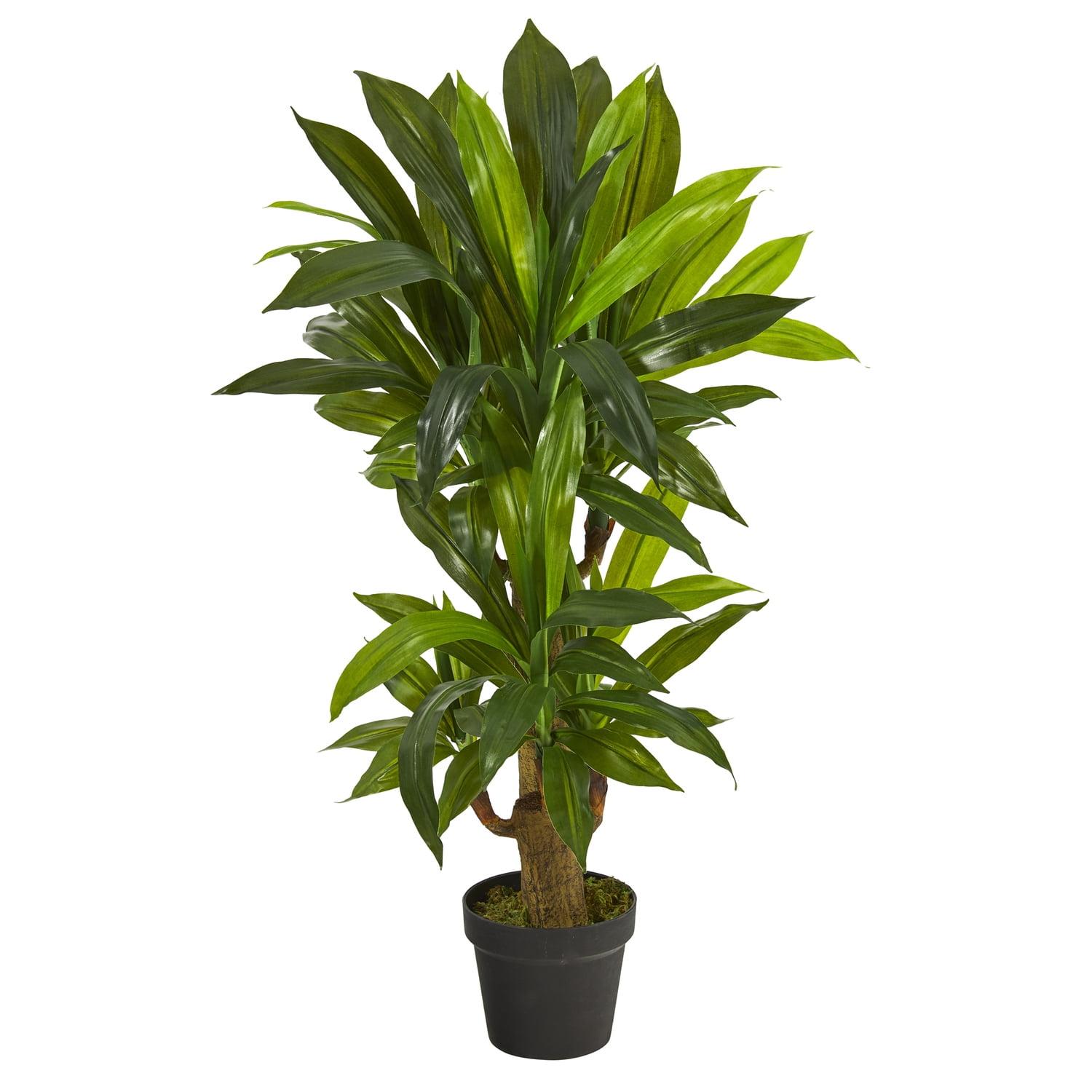 Nearly Natural 3-ft Corn Stalk Dracaena Artificial Plant (Real Touch)