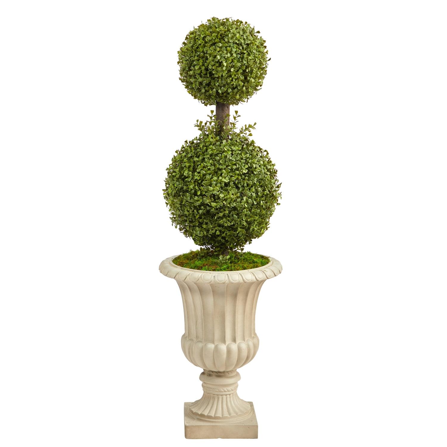 Elegant Double Ball Boxwood Topiary in Sand-Tone Urn, 51"