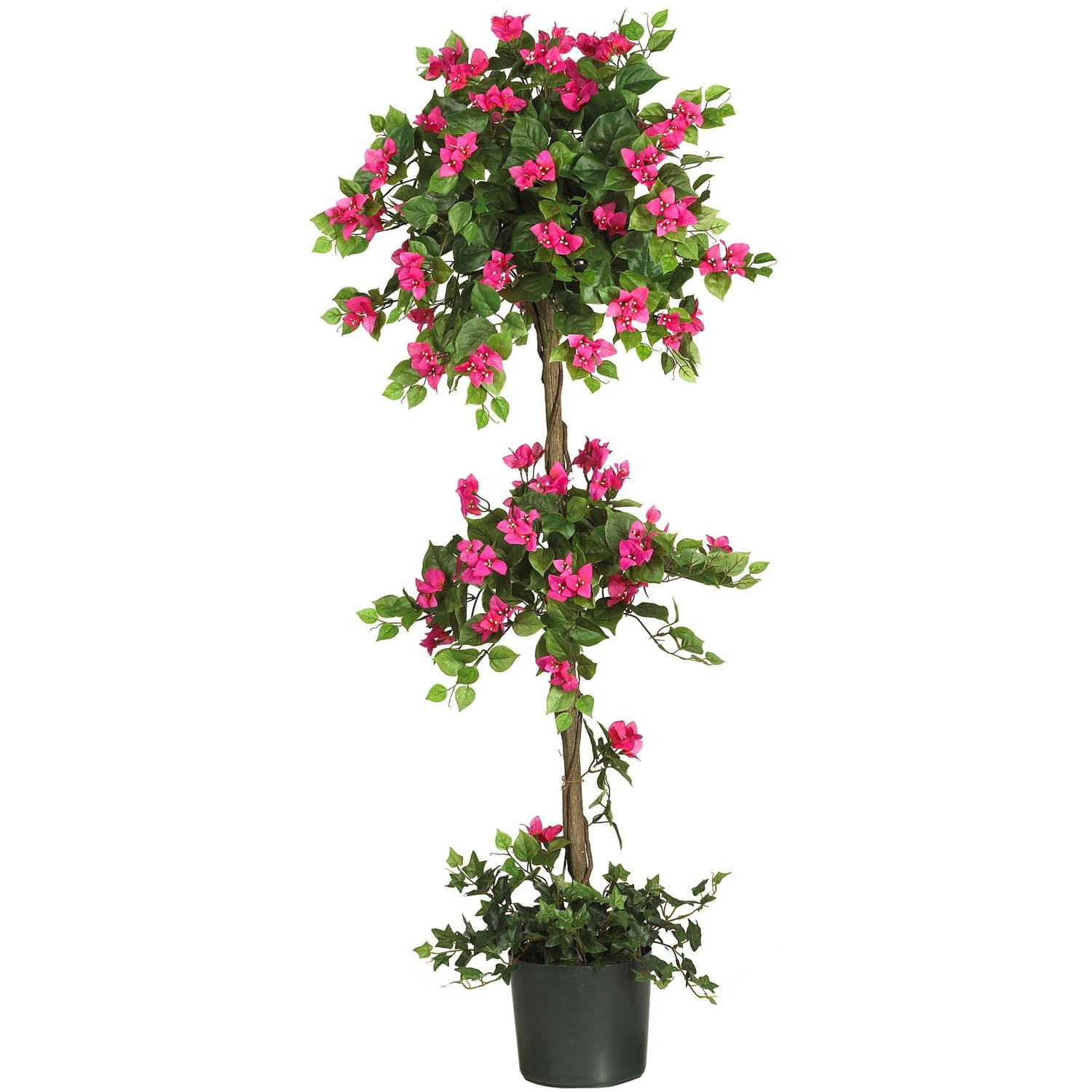 Primrue 5ft. Mini Bougainvillea Topiary
