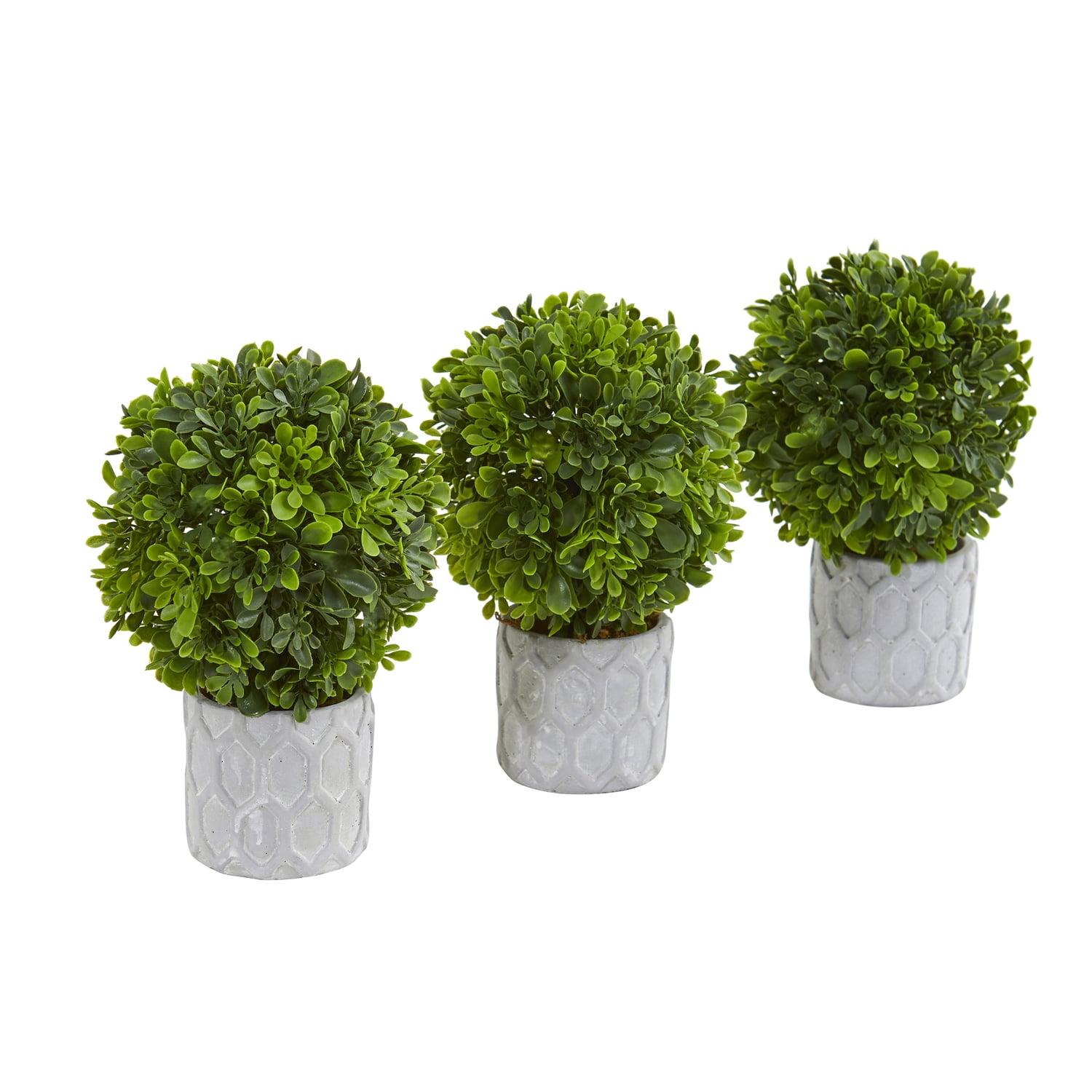 Primrue 9in. Boxwood Artificial Mini Topiary (Set of 3)