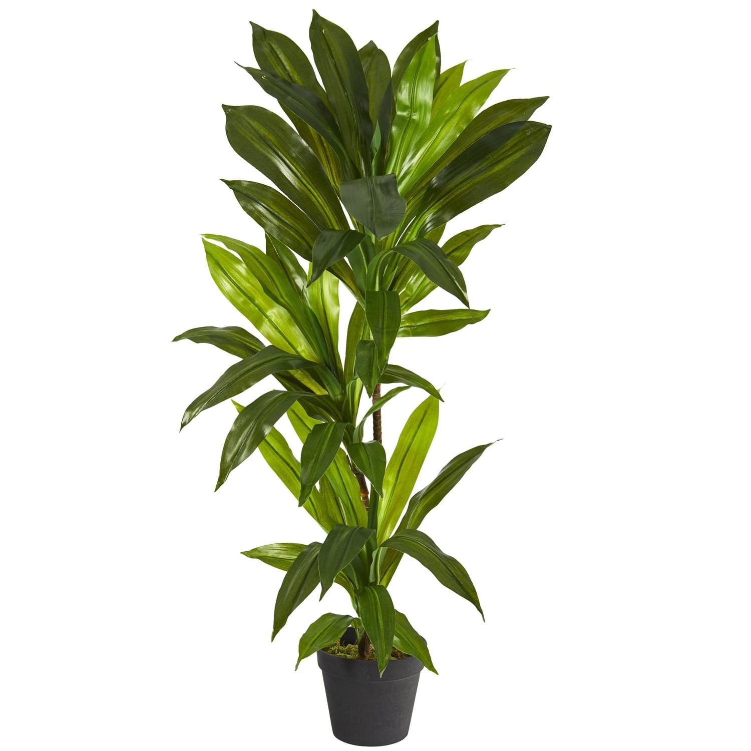 Primrue 3ft. Corn Stalk Dracaena Artificial Plant (Real Touch)