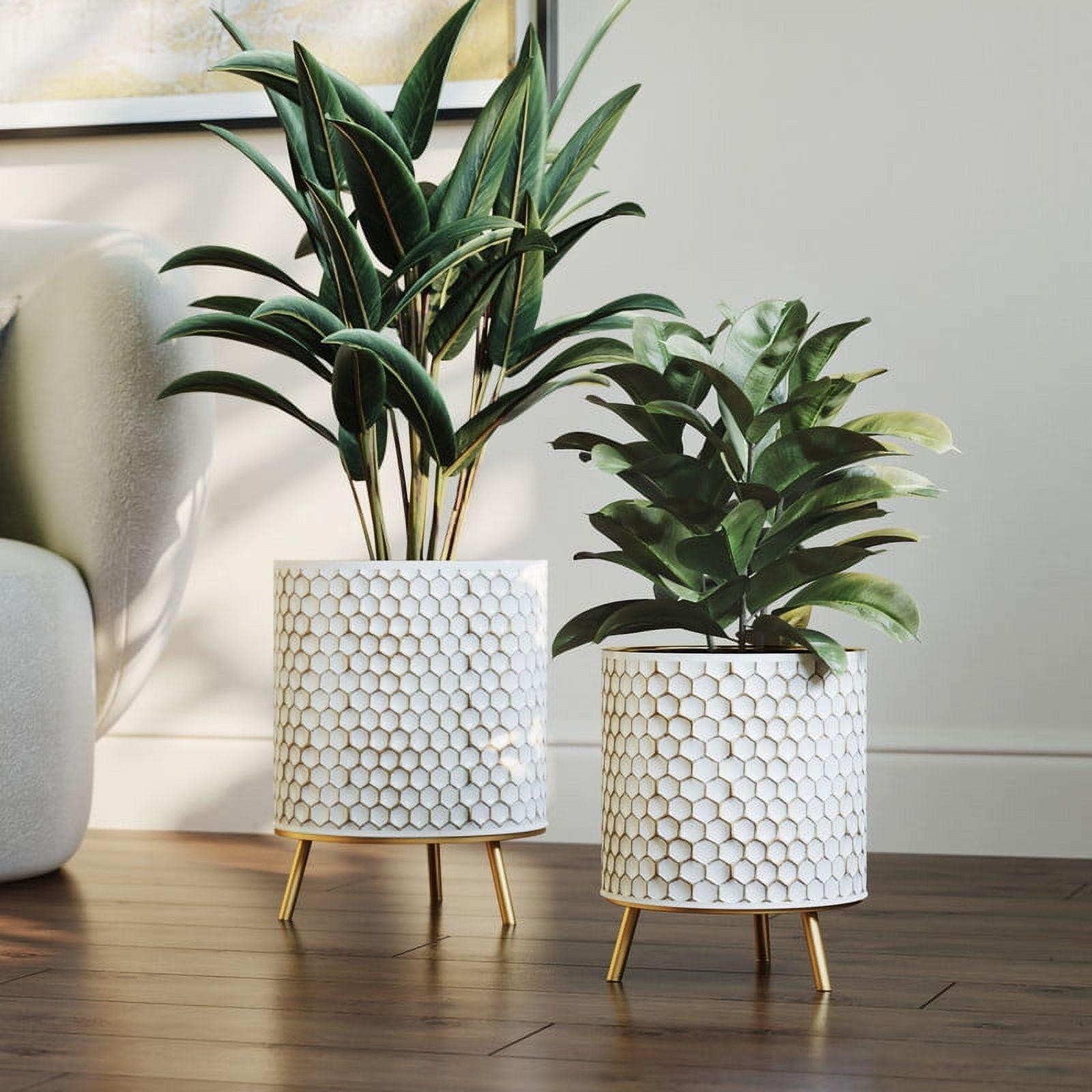 Honeycomb White and Gold Metal Planter Set with Nyra Base