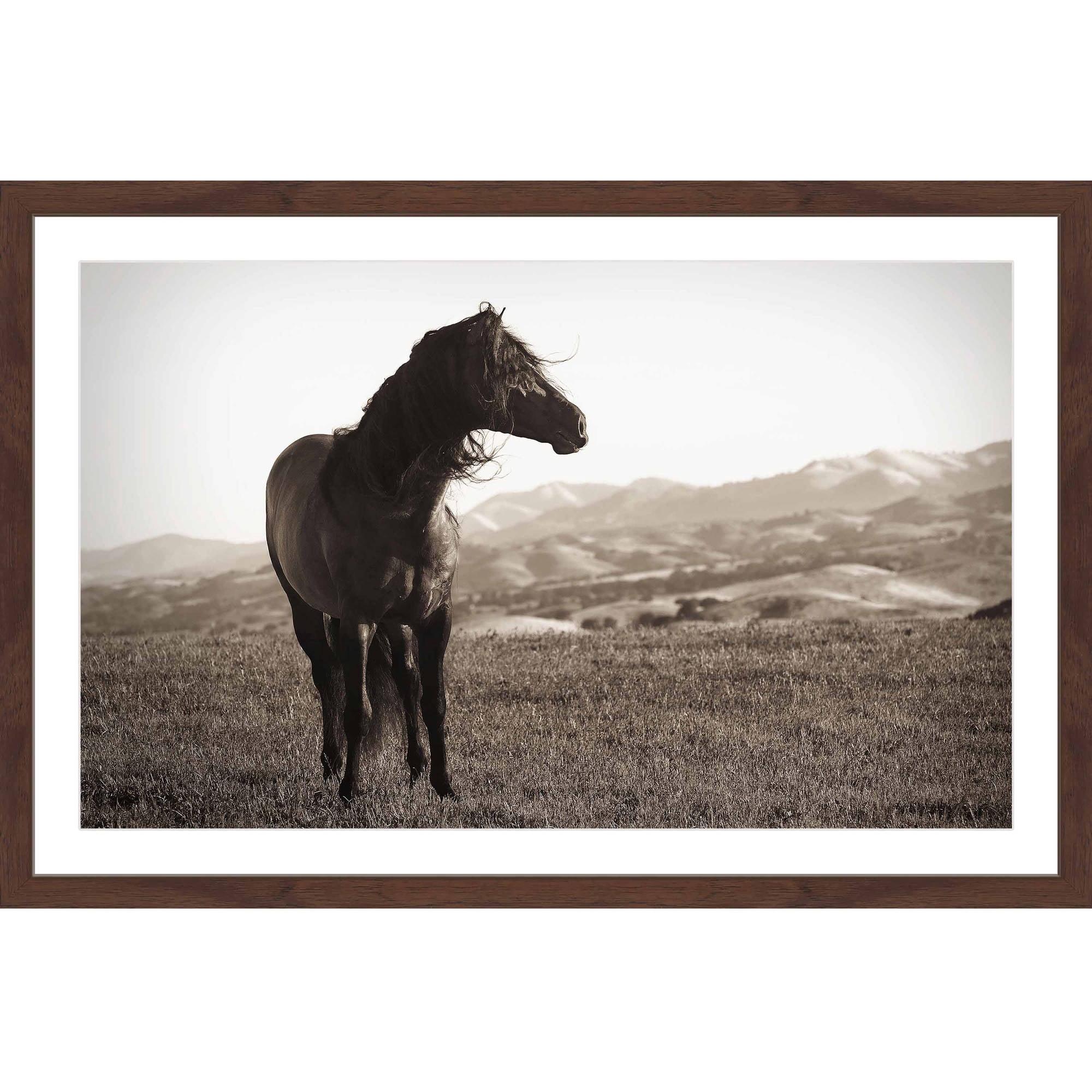 Marmont Hill "Horse in Wind" Framed Print