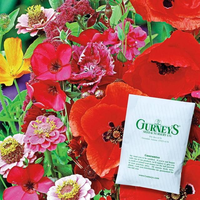 Gurney's 300 Plant Seeds, Vibrant pink and Annual Seeds
