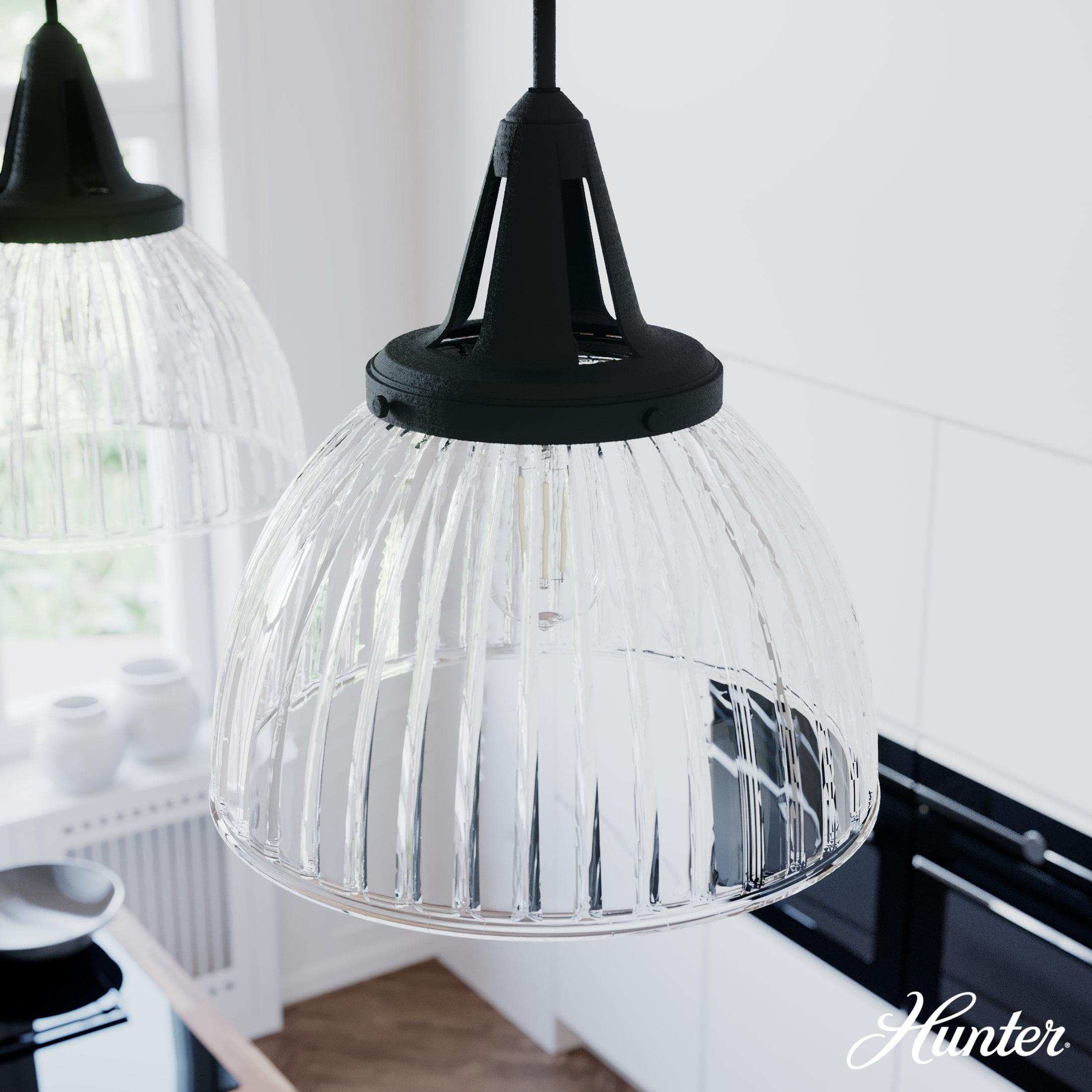 Hunter Fans Cypress Grove 1 - Light Pendant in Natural Iron