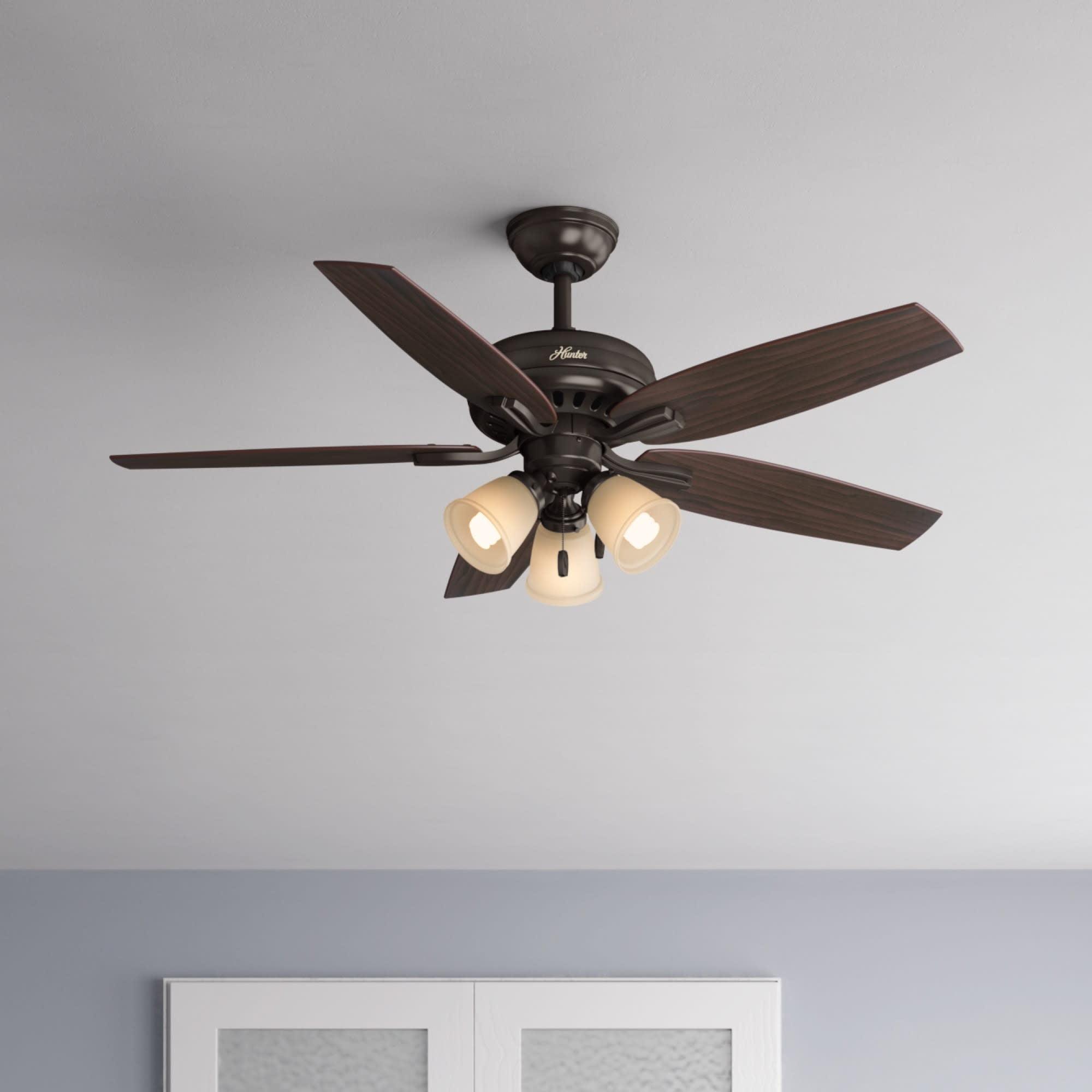 52" Newsome 5 - Blade Standard Ceiling Fan with Pull Chain and Light Kit Included