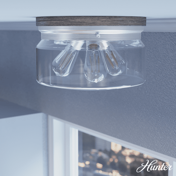 Hunter Fan Hunter Devon Park Onyx Bengal And Barnwood 3 Light Flush Mount Ceiling Light Fixture