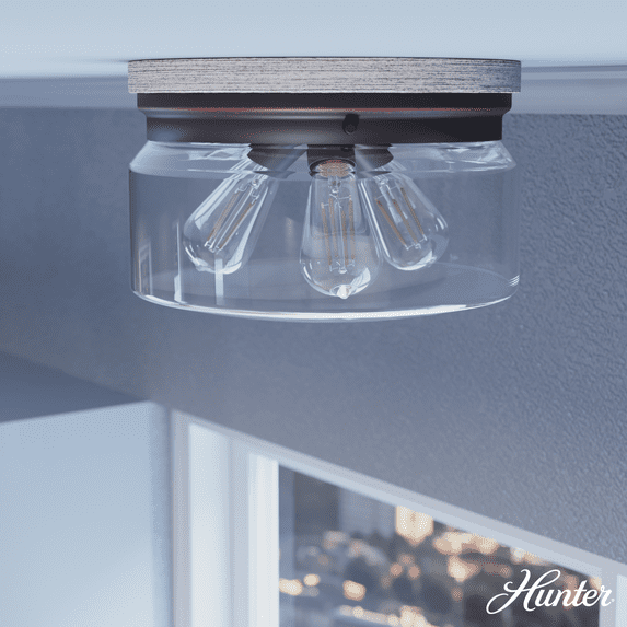 Hunter Fan Hunter Devon Park Onyx Bengal And Barnwood 3 Light Flush Mount Ceiling Light Fixture