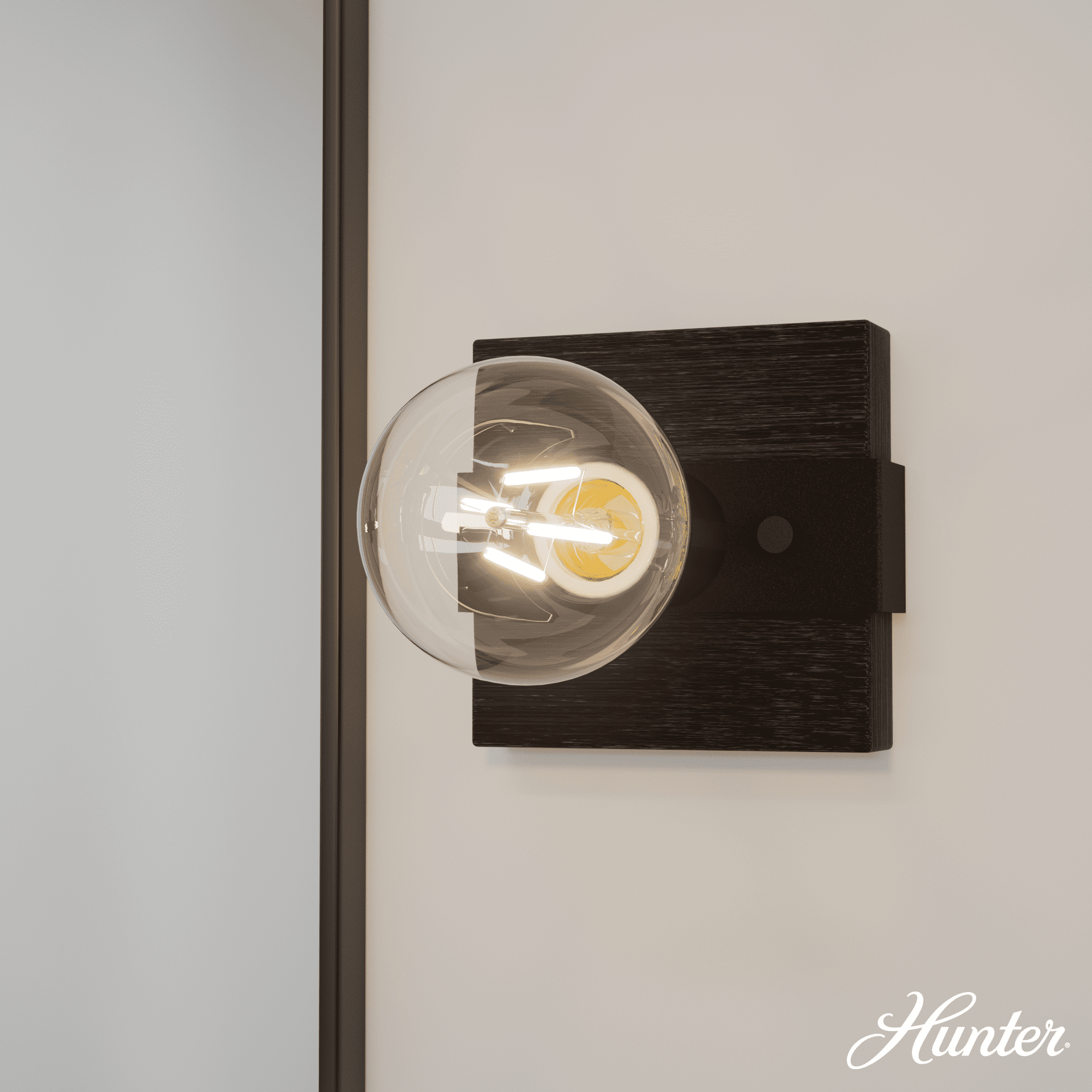 Hunter Fan Donelson Natural Black Iron and Dark Ash Sconce Wall Light Fixture: ETL Listed, Dimmable, Metal Body