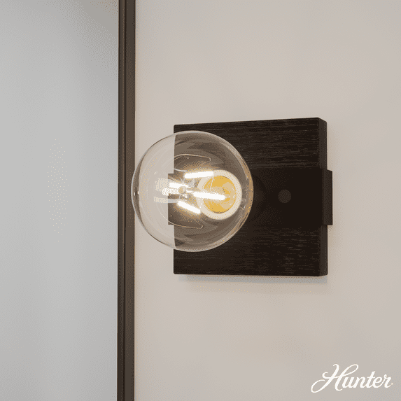 Hunter Fan Donelson Natural Black Iron and Dark Ash Sconce Wall Light Fixture: ETL Listed, Dimmable, Metal Body