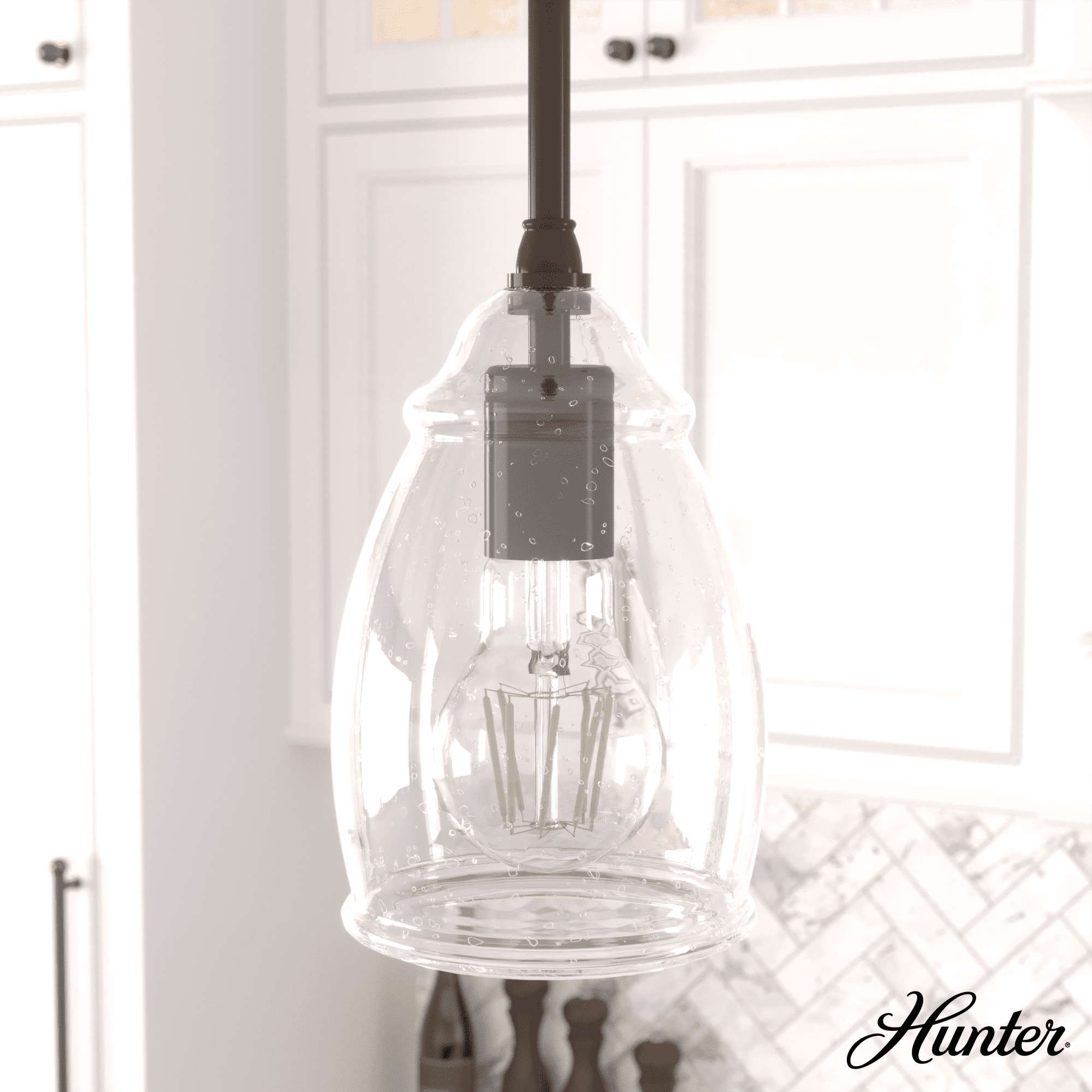 Hunter Fan Dunshire 1 Light Noble Bronze Pendant with Glass