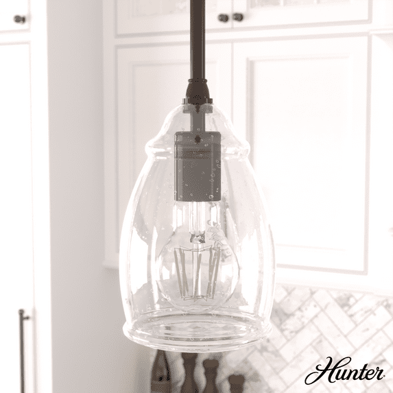 Hunter Fan Dunshire 1 Light Noble Bronze Pendant with Glass