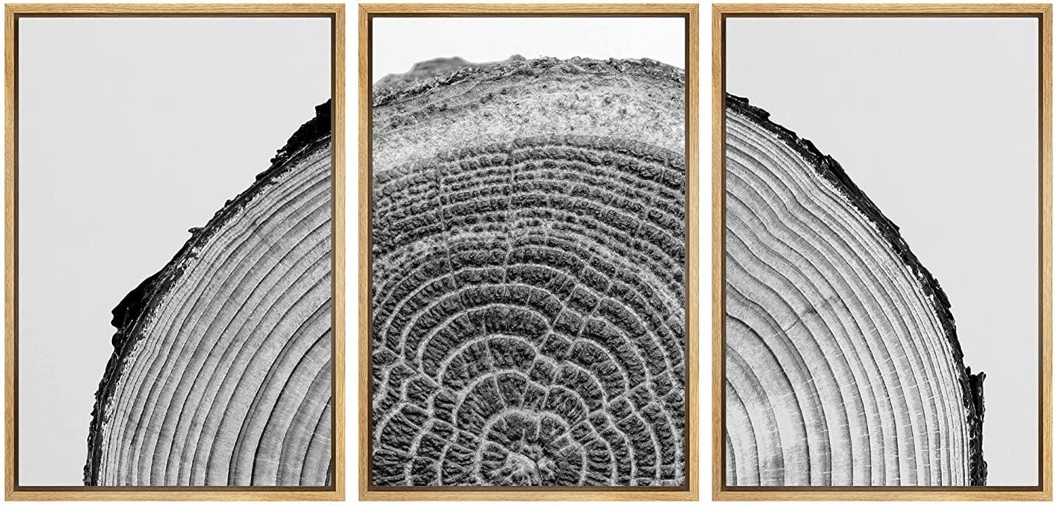 Black and White Wood Tree Rings Modern Neutral Framed Canvas 3 Pieces Pictures Print Wall Art