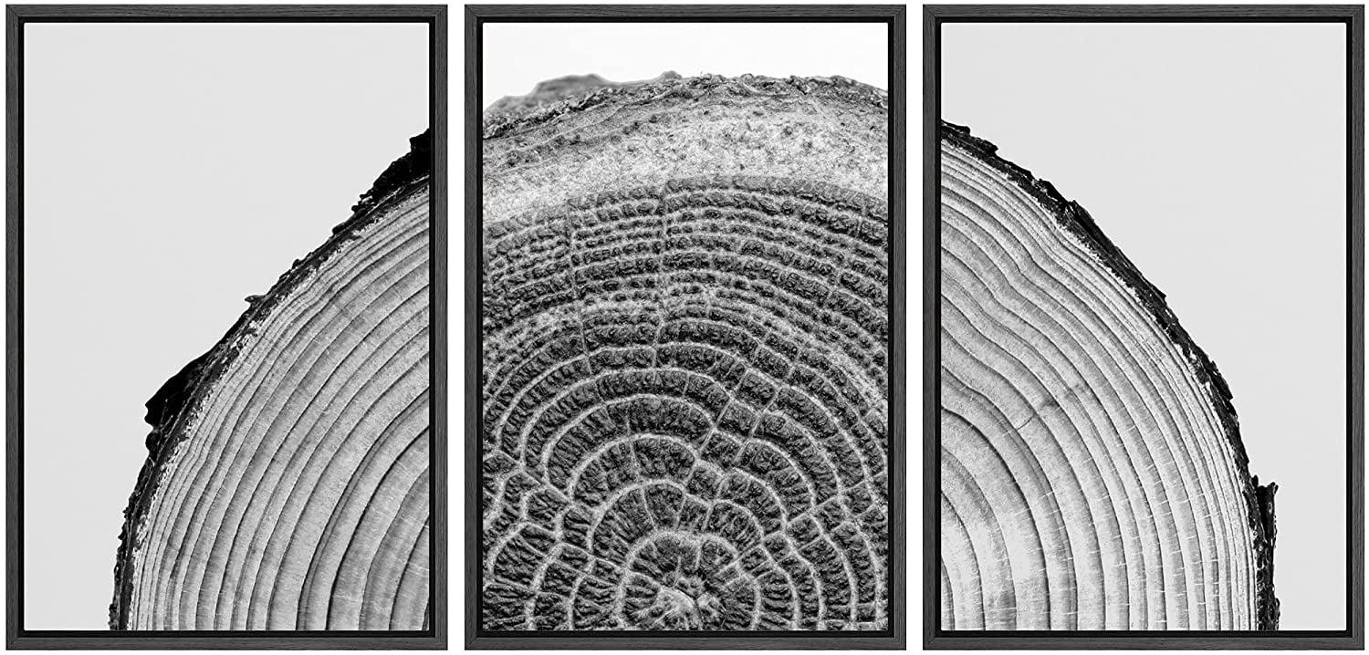 Black and White Wood Tree Rings Modern Neutral Framed Canvas 3 Pieces Pictures Print Wall Art