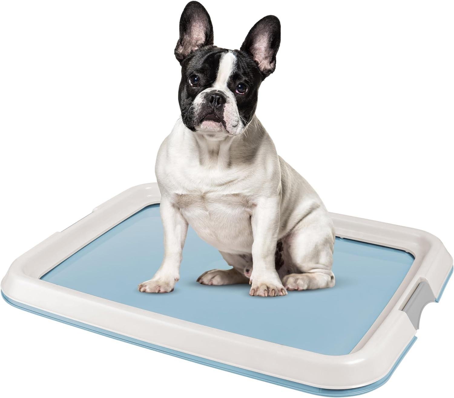 IRIS USA, Inc. Polypropylene Plastic Pet Bed
