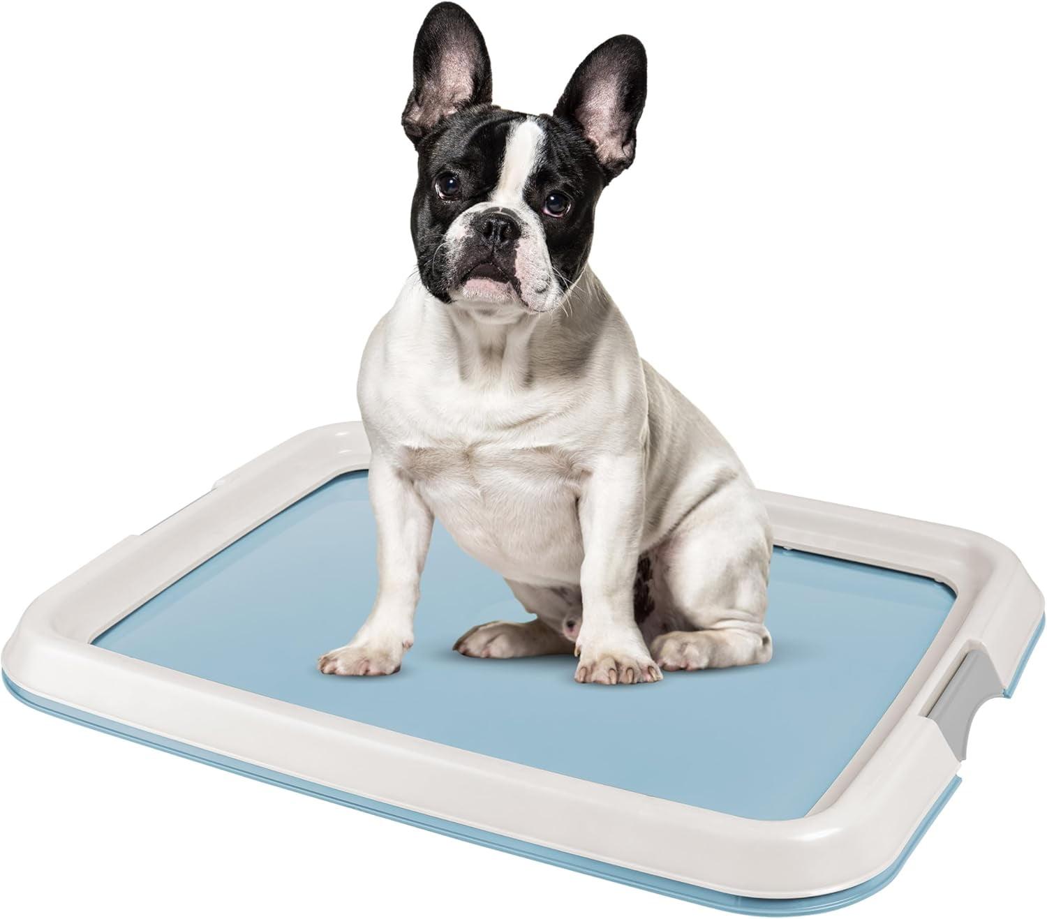 IRIS USA, Inc. Polypropylene Plastic Pet Bed