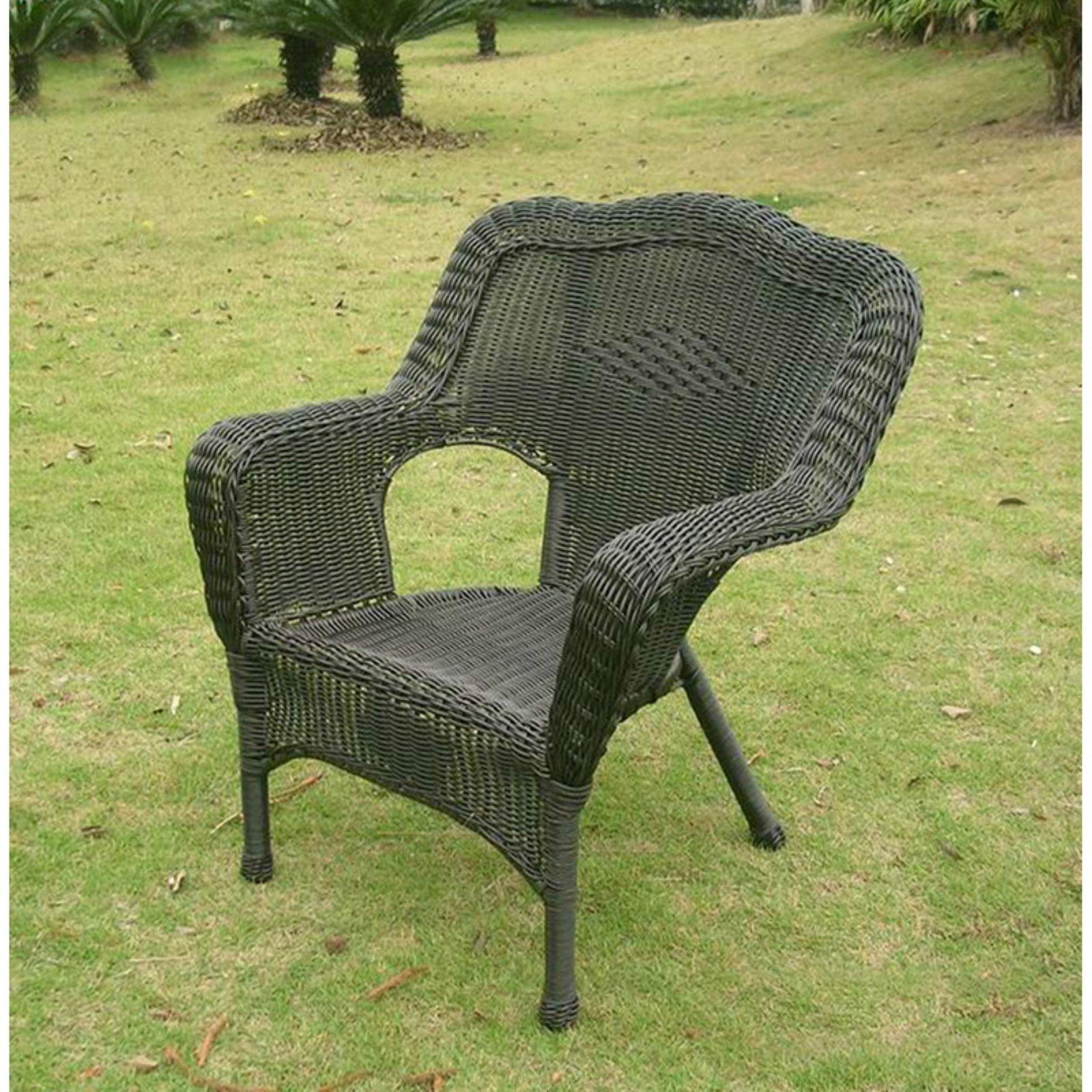 Camelback Resin Wicker Patio Chairs (Set of 2)