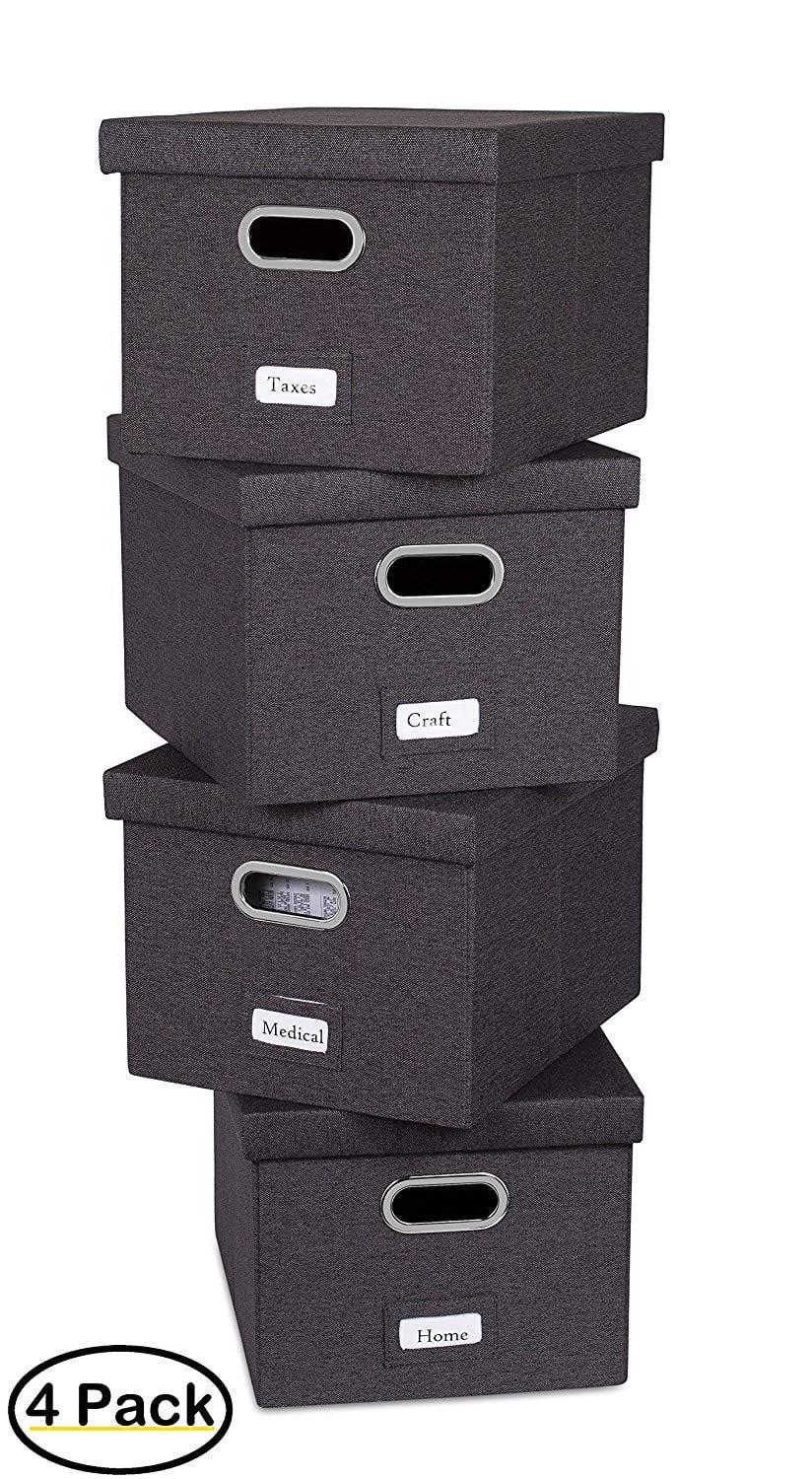 BirdRock Home Internet's Best Collapsible File Storage Fabric Box