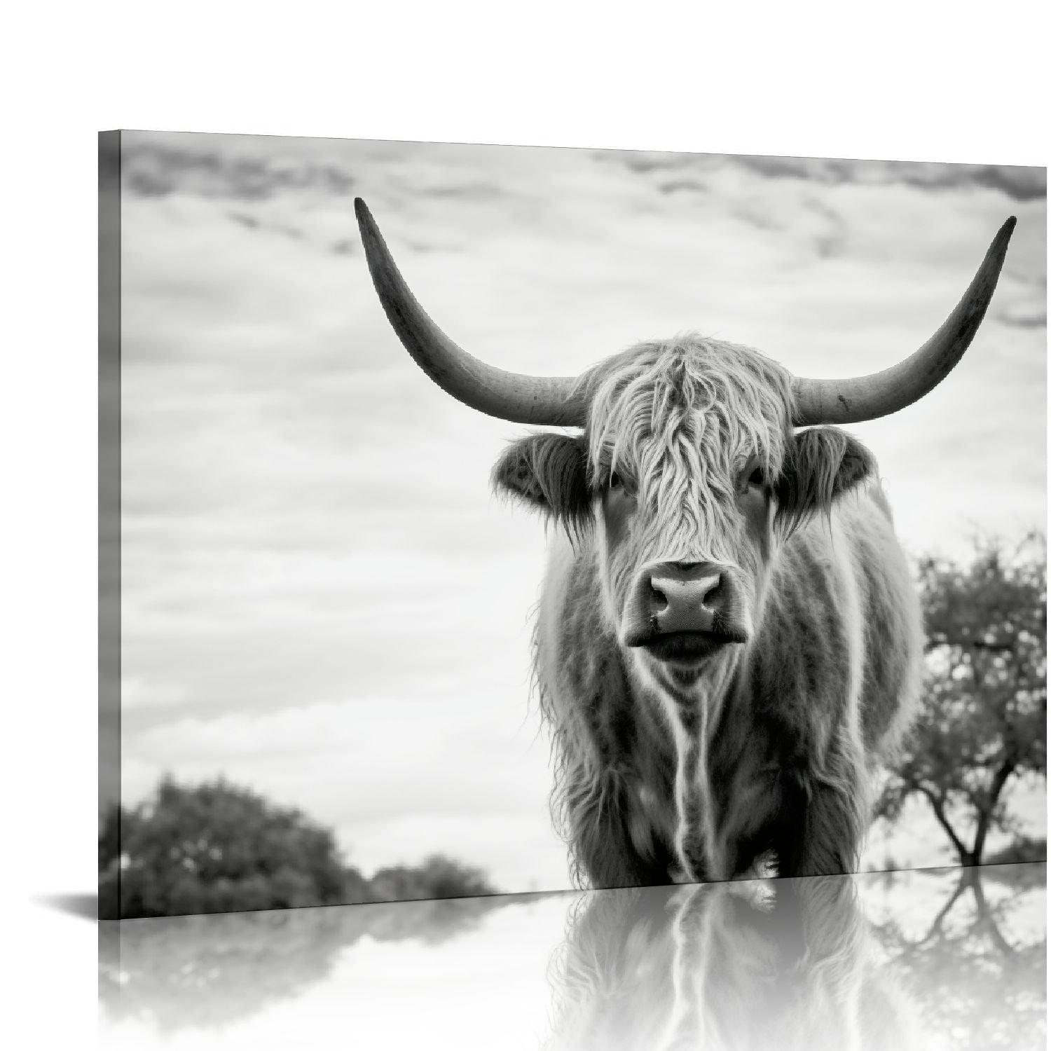 Orinice  HOME Black and White Highland Cow Photograph Stretched Canvas Wall Art,   20x16in