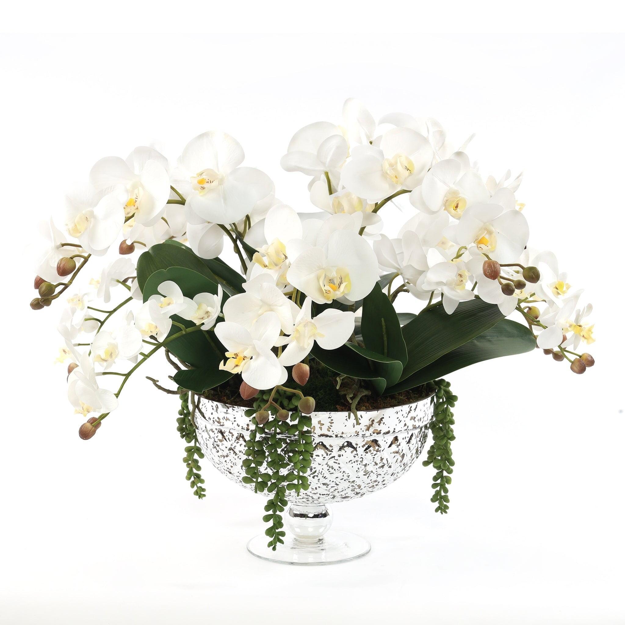 Orchid Arrangement in Vase