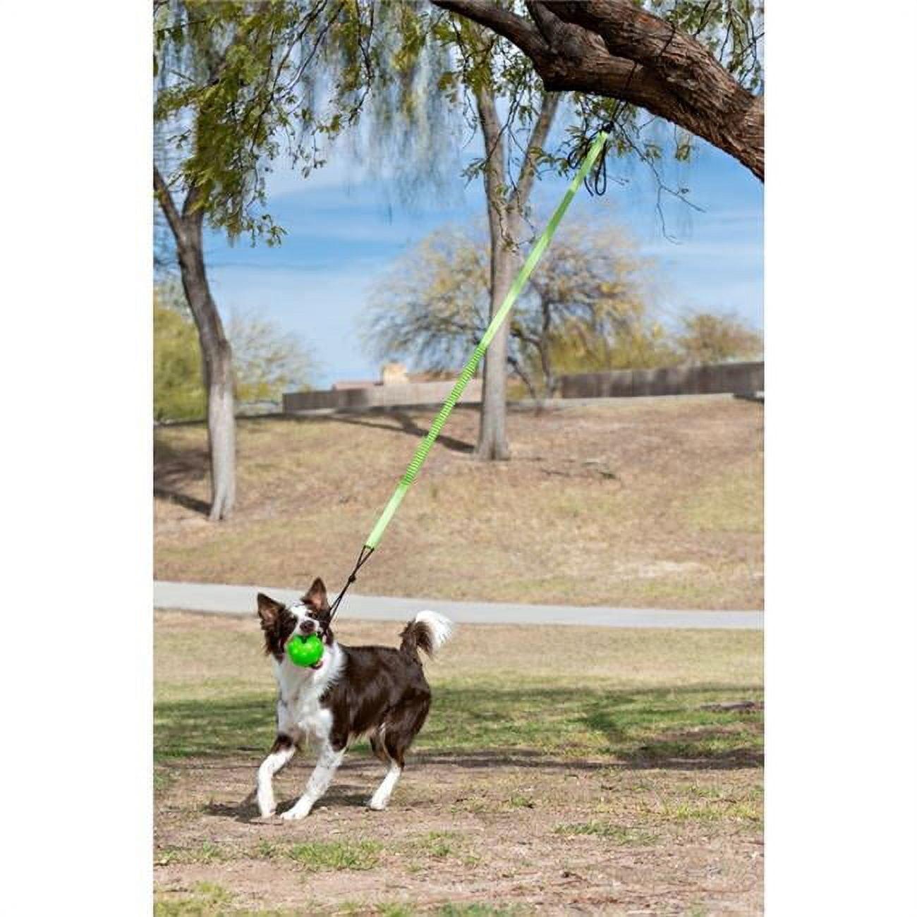 Jolly Pets Tree Tugger For Dog - Green