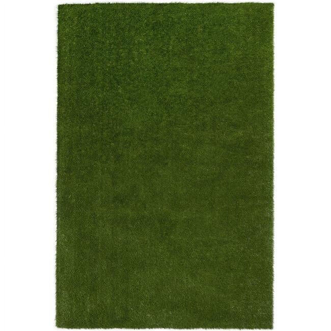 Joy Carpets Greenspace Indoor/Outdoor Area Rug