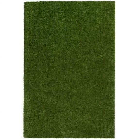 Joy Carpets Joy Carpets Greenspace Indoor/Outdoor Area Rug