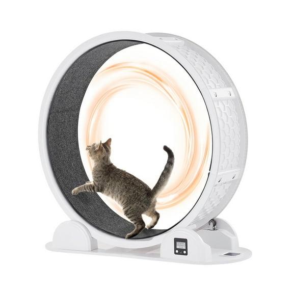Large White and Gray ABS Cat Exercise Wheel with Pedometer