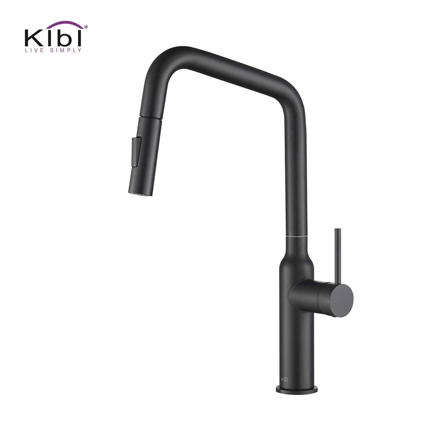Macon Pull Down Single Handle Kitchen Faucet with Accessories