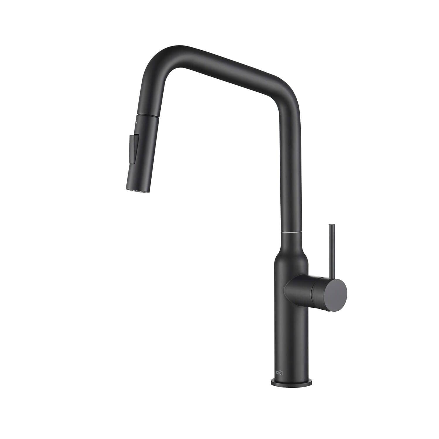Macon Pull Down Single Handle Kitchen Faucet with Accessories