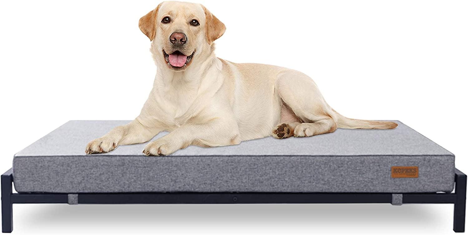 KOPEKS Elevated Foam Dog Bed - XL - Grey