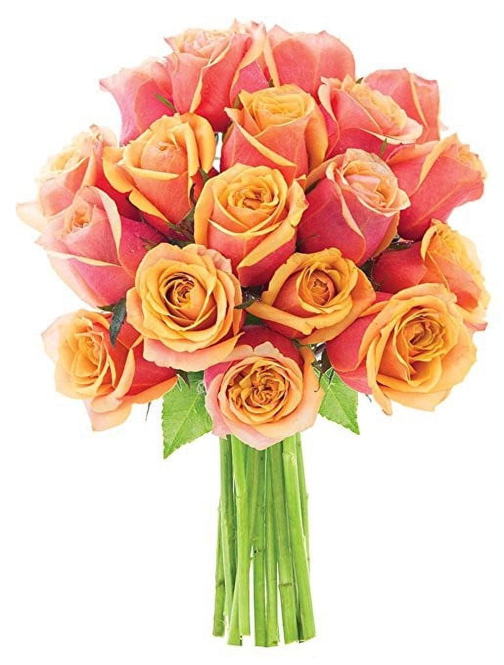 KaBloom :18 Orange Roses, Next-Day Delivery, Gift for Every Occasion.