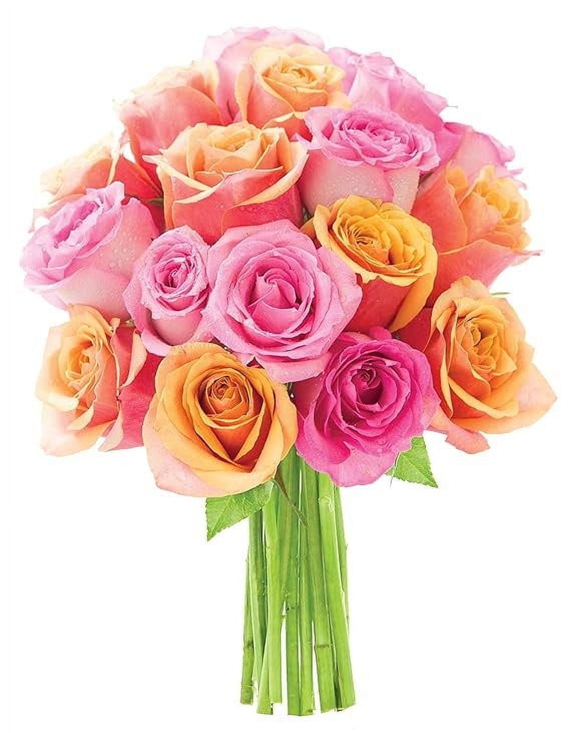 KaBloom :18 Orange Roses, Next-Day Delivery, Gift for Every Occasion.