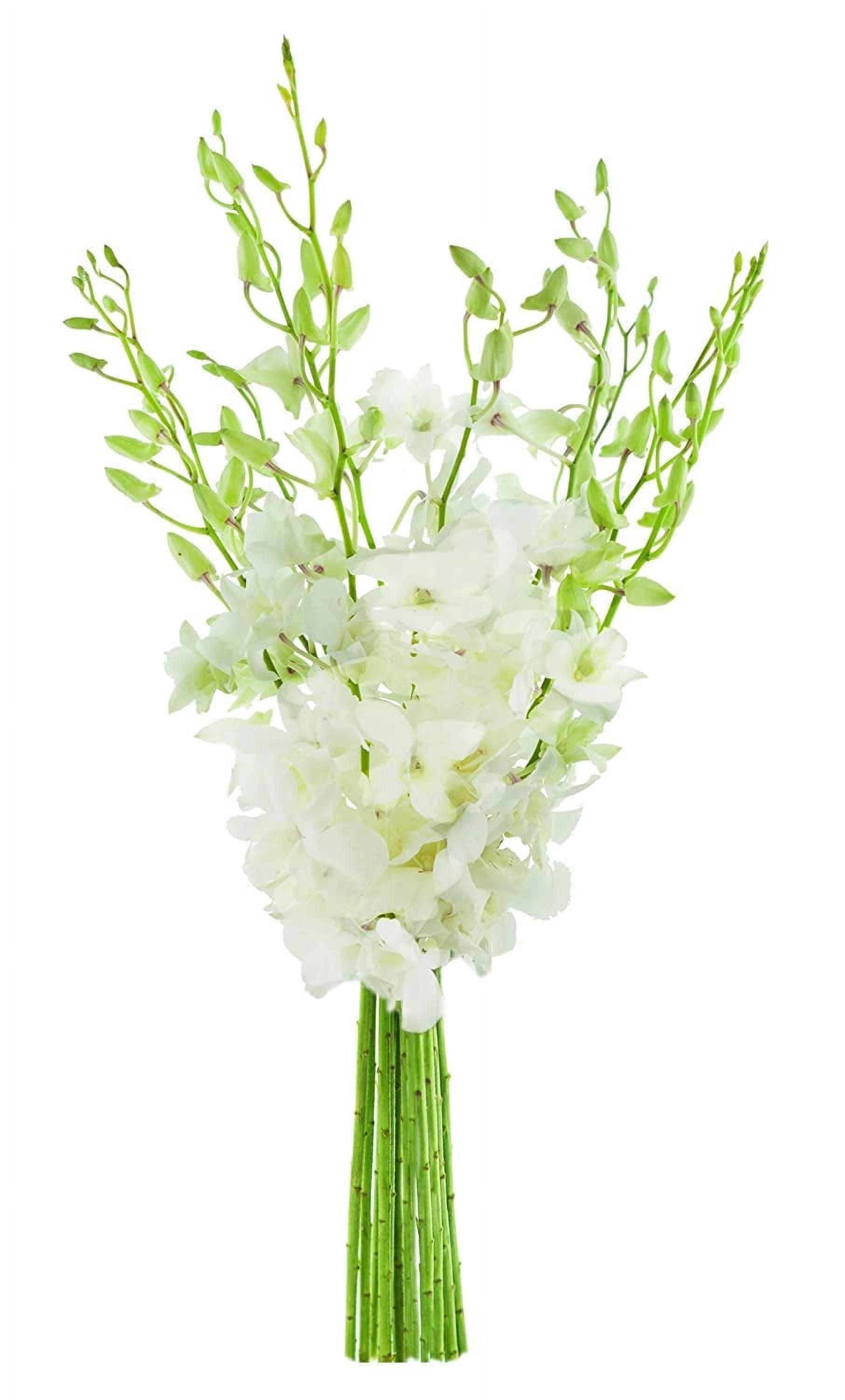 Elegant White Orchid Bouquet with Vase