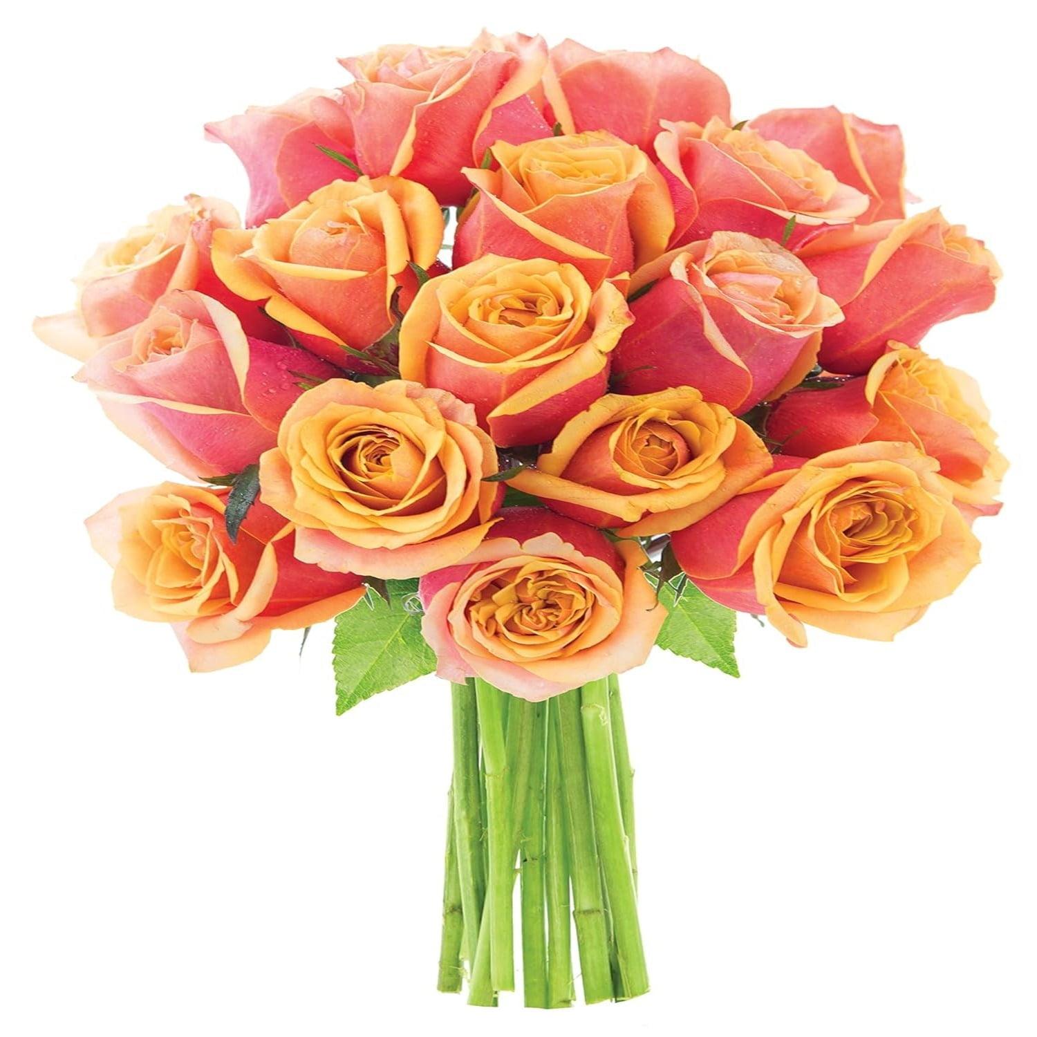 KaBloom :18 Orange Roses, Next-Day Delivery, Gift for Every Occasion.
