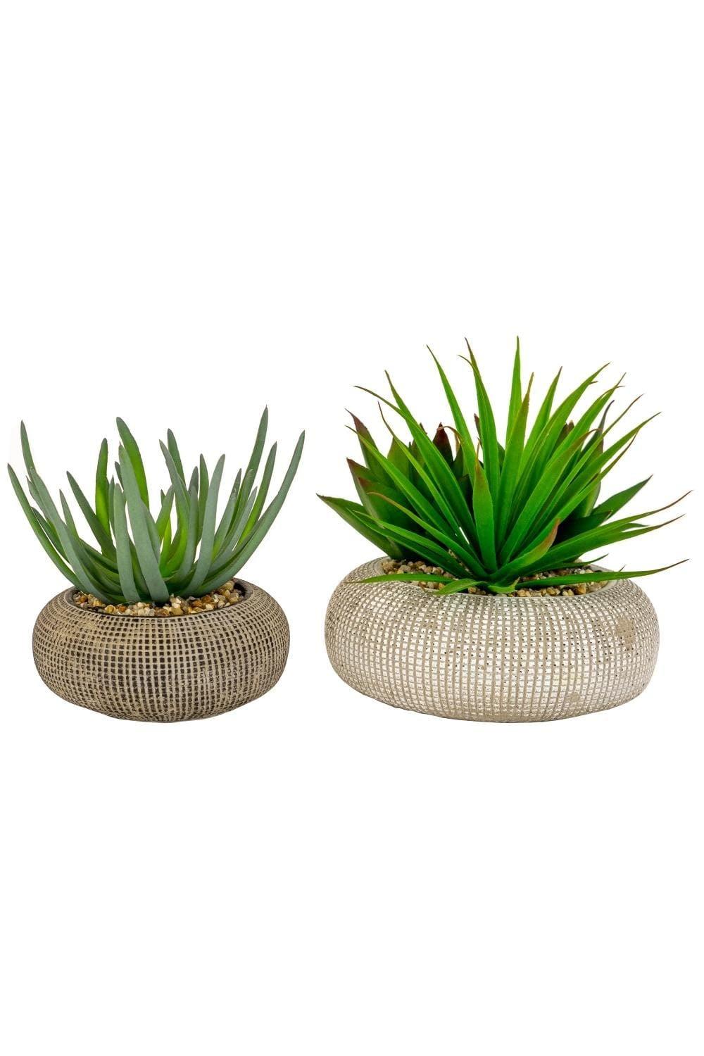 Set of Two Artificial Succulents in Concrete Pots