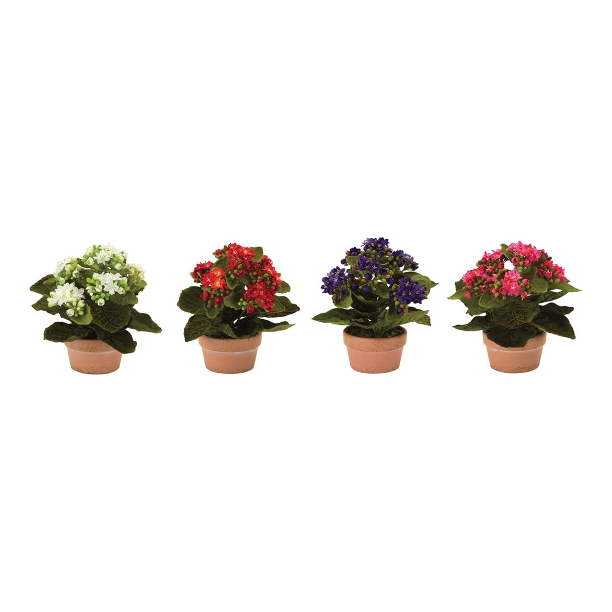 Faux Potted Kalanchoe Flower Arrangement in Terracotta Pot, Set of 4