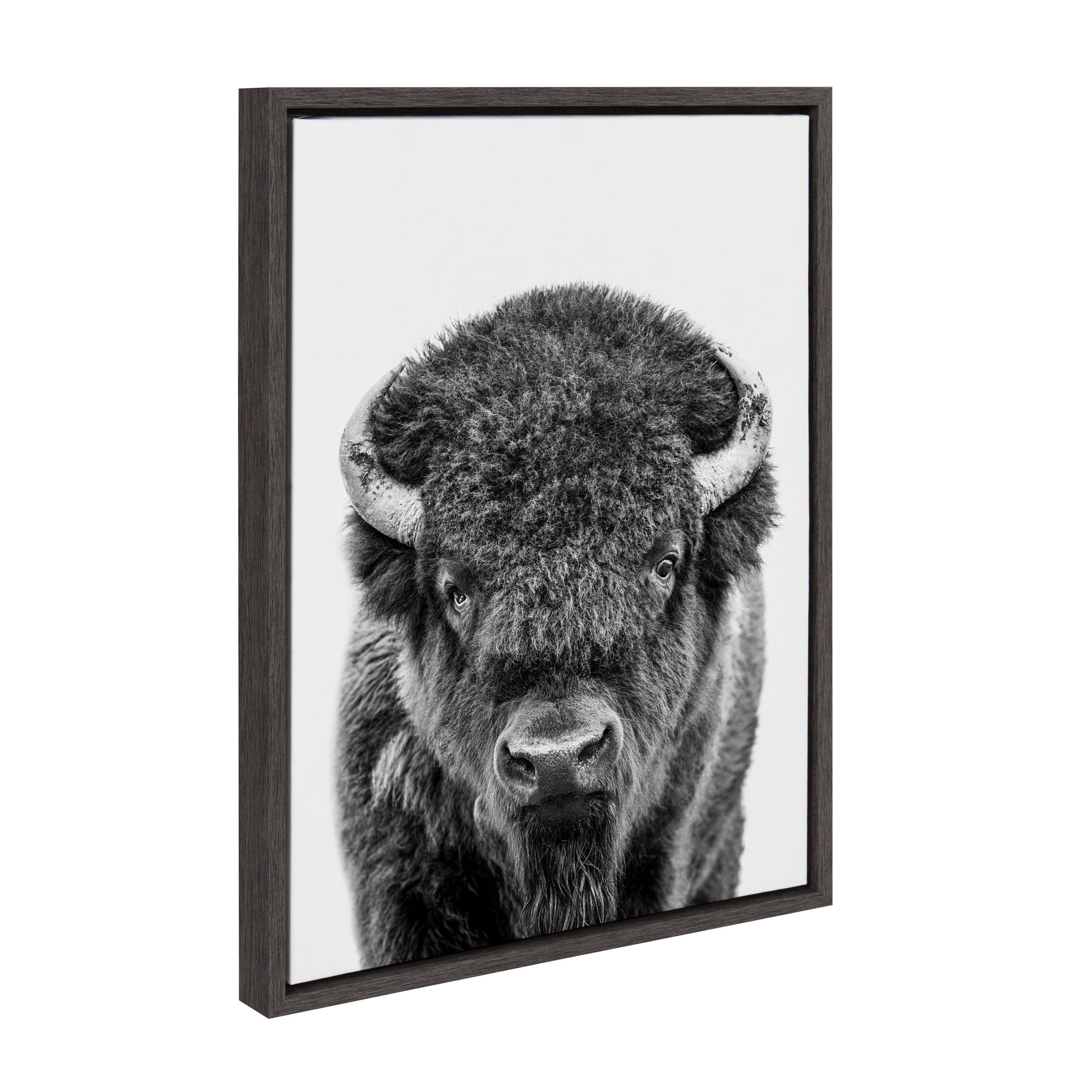 Sylvie Bison Portrait Black and White Frame Canvas by Amy Peterson Gray - Kate & Laurel All Things Decor