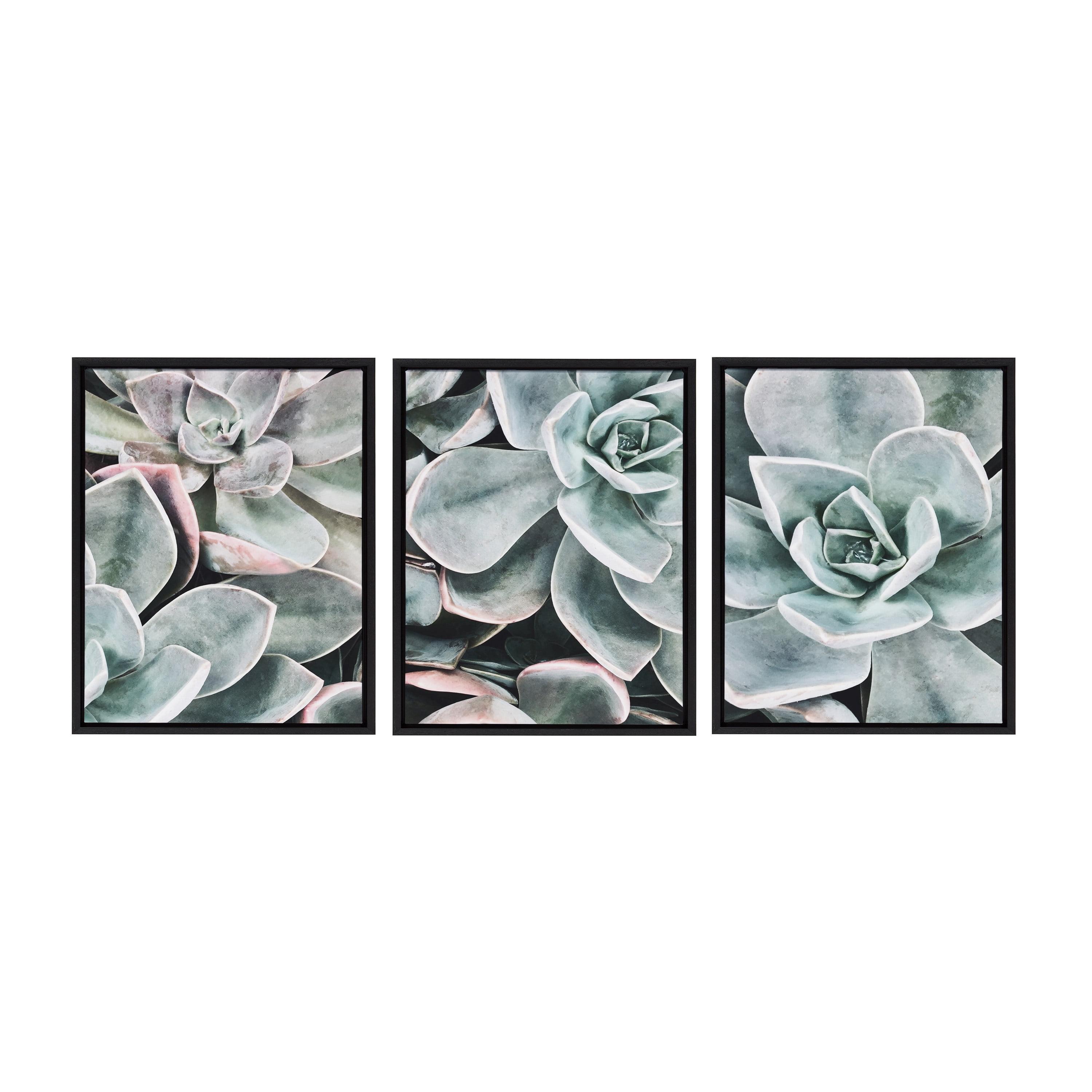 Kate and Laurel Sylvie Botanical Succulent Plants Framed Canvas Wall Art Set by The Creative Bunch Studio, Set of 3, 18x24 Black, Chic Botanical Art for Wall