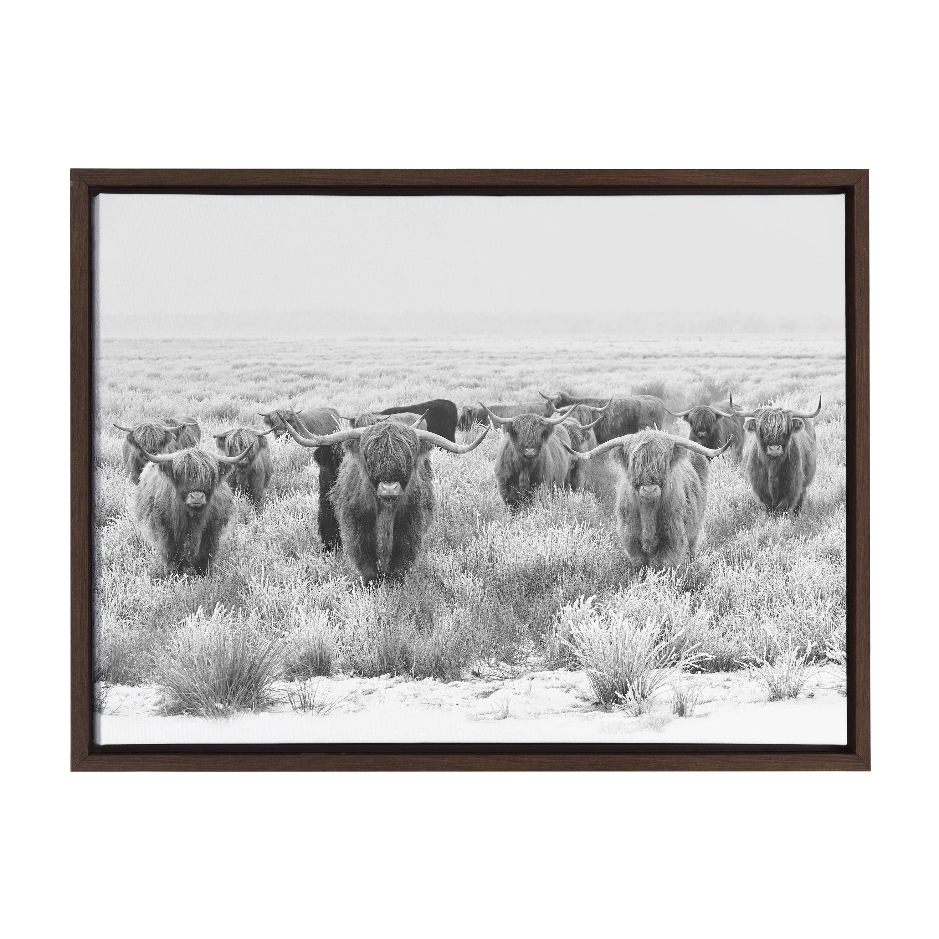 Herd of Highland Cows Black and White Canvas Print with Brown Frame