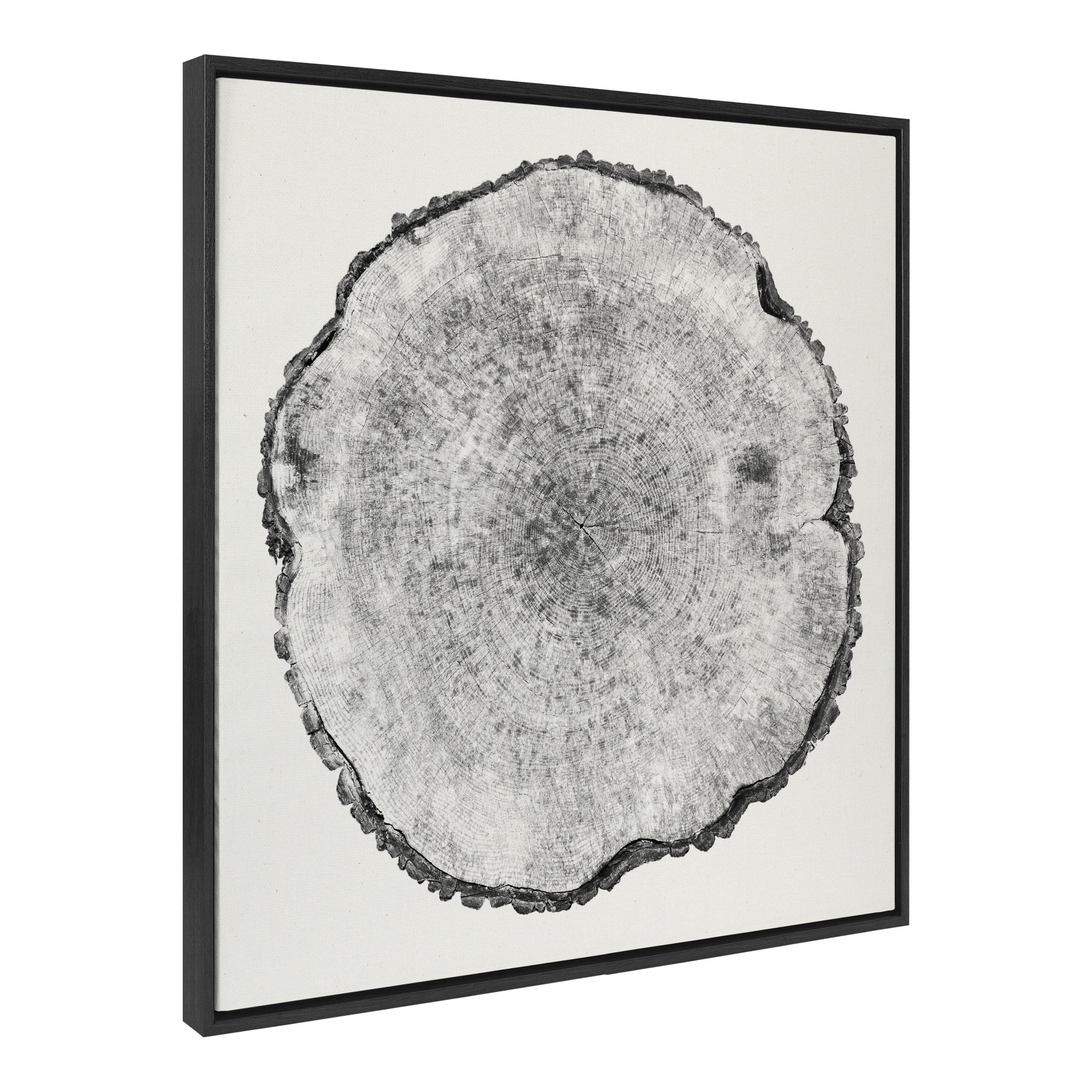 Kate and Laurel Sylvie Tree Rings 1 Framed Linen Textured Canvas Wall Art by Emiko and Mark Franzen of F2Images, 30x30 Black, Simple Modern Nature Wall Art