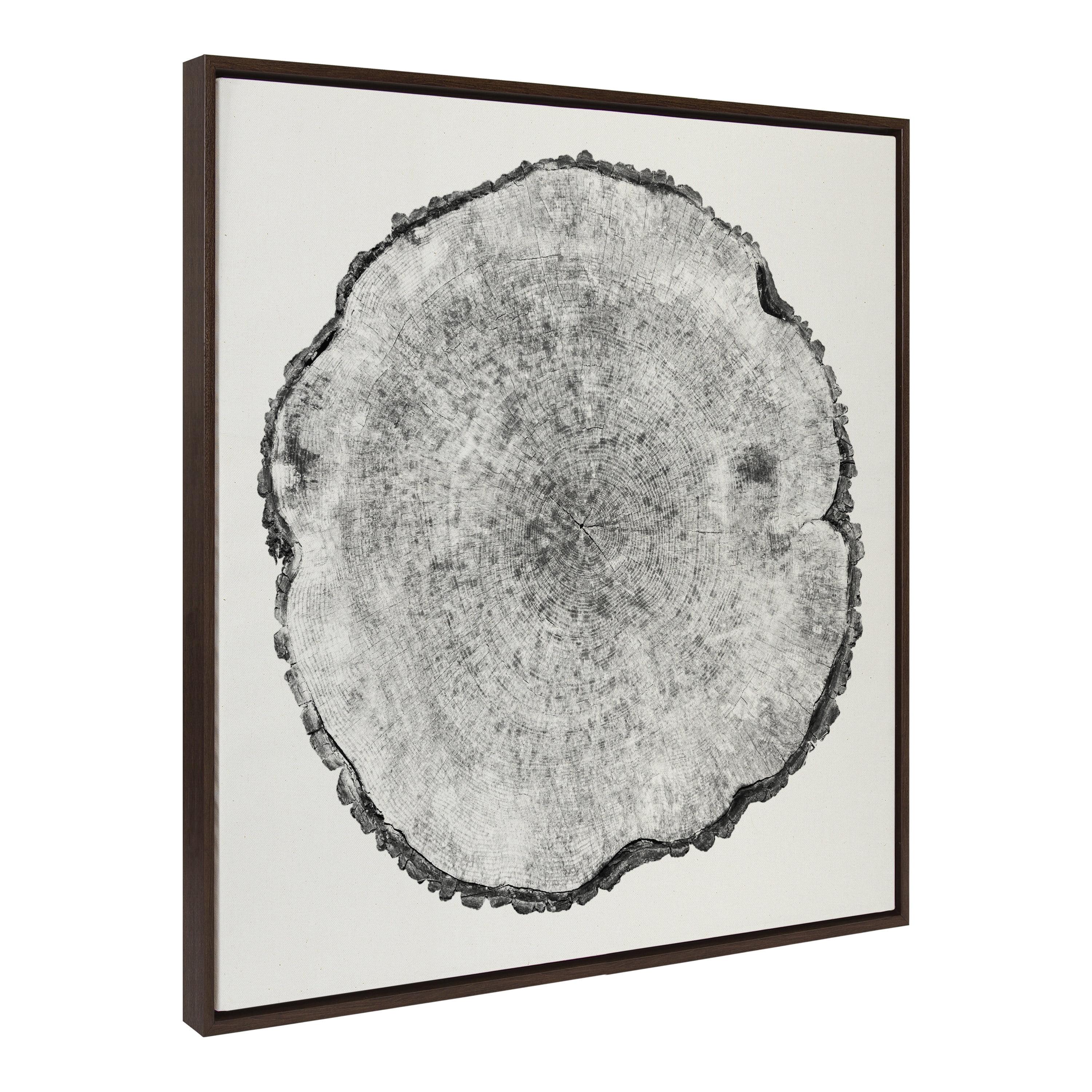 Kate and Laurel Sylvie Tree Rings Linen Framed Canvas by Emiko and Mark Franzen of F2Images, 30x30, Walnut Brown